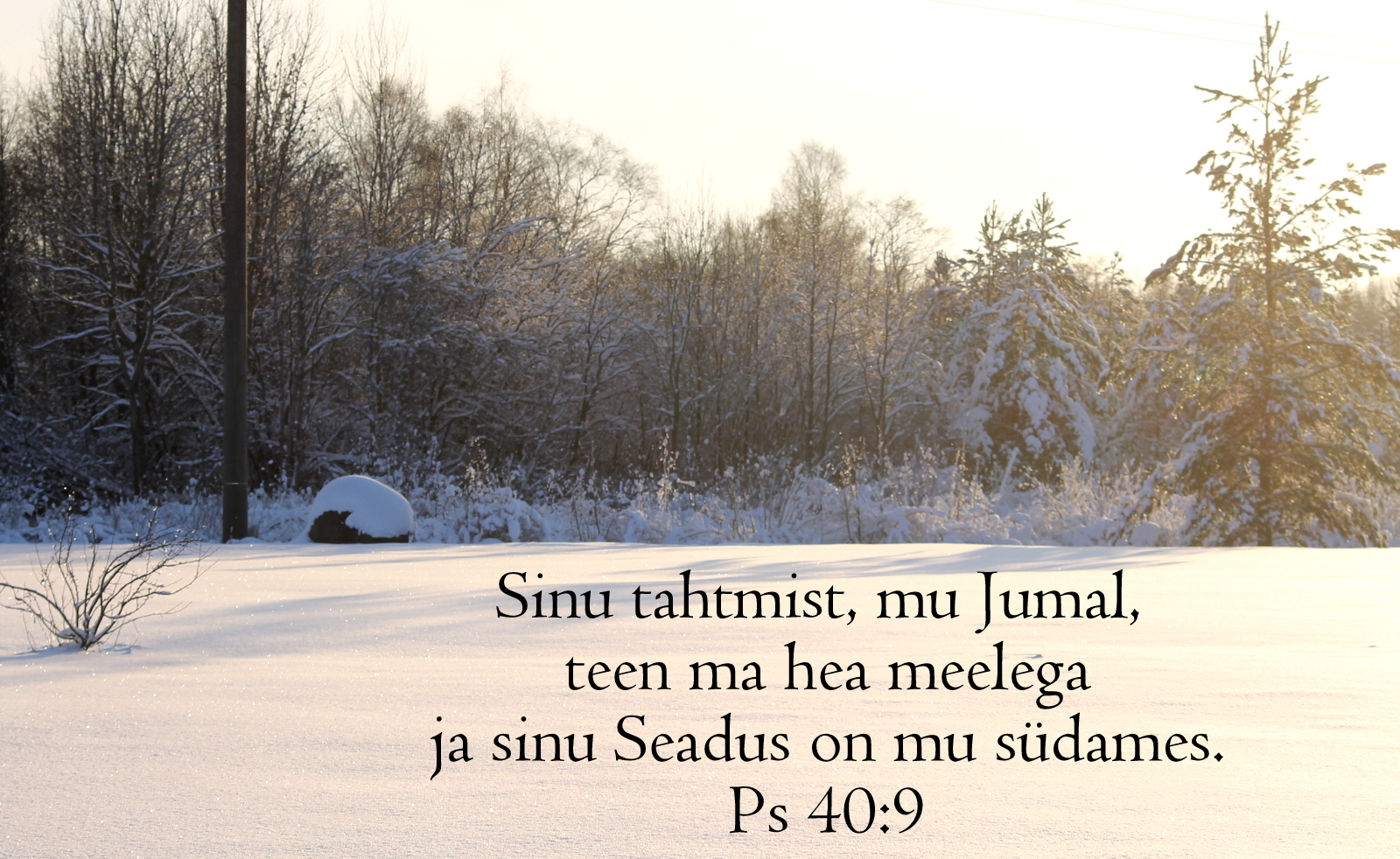 20210117_Ps_40_9.jpg