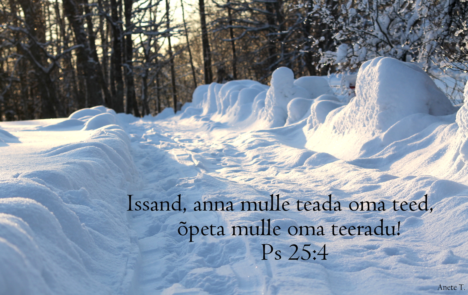 20210125_Ps_25_4.jpg