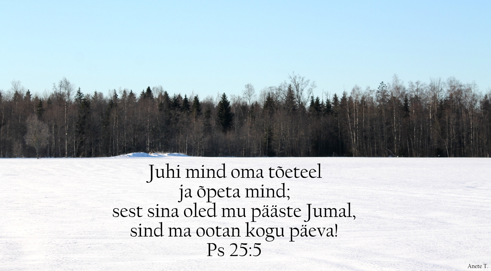 20210221_Ps_25_5.jpg