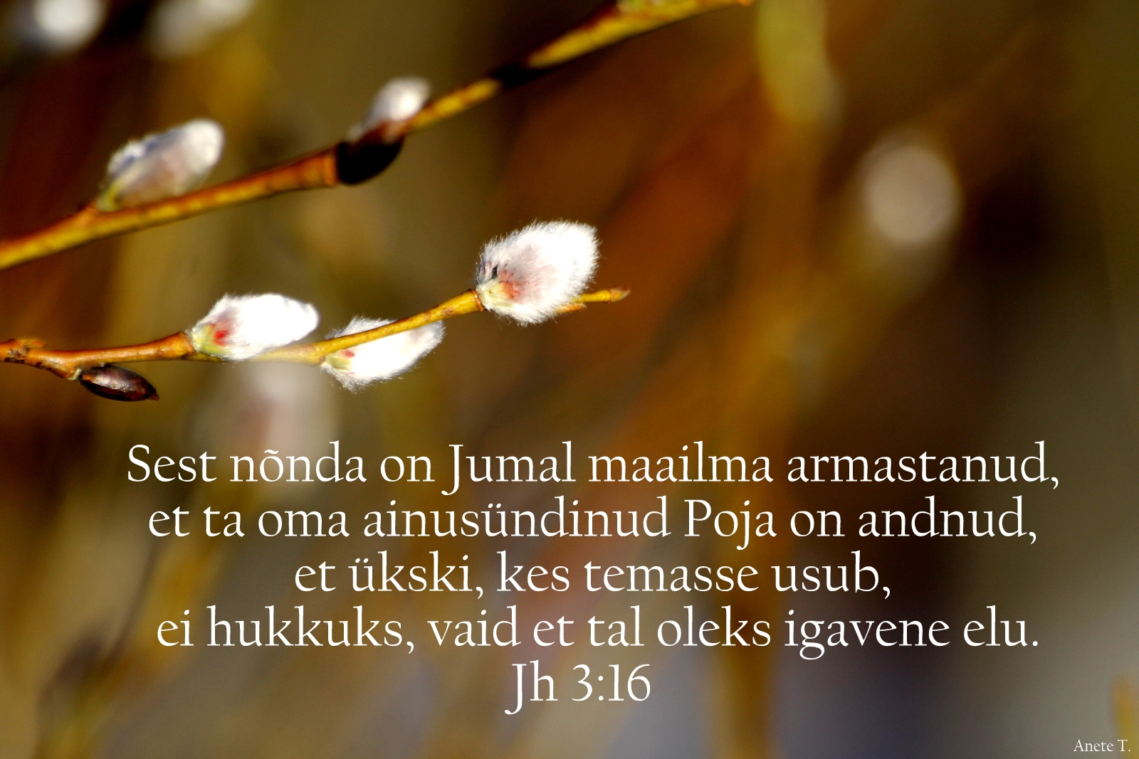 20210314_Jh_3_16.jpg