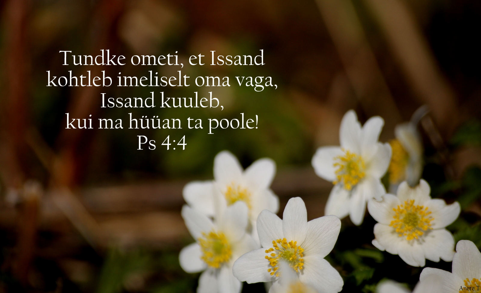 20210418_Ps_4_4.jpg