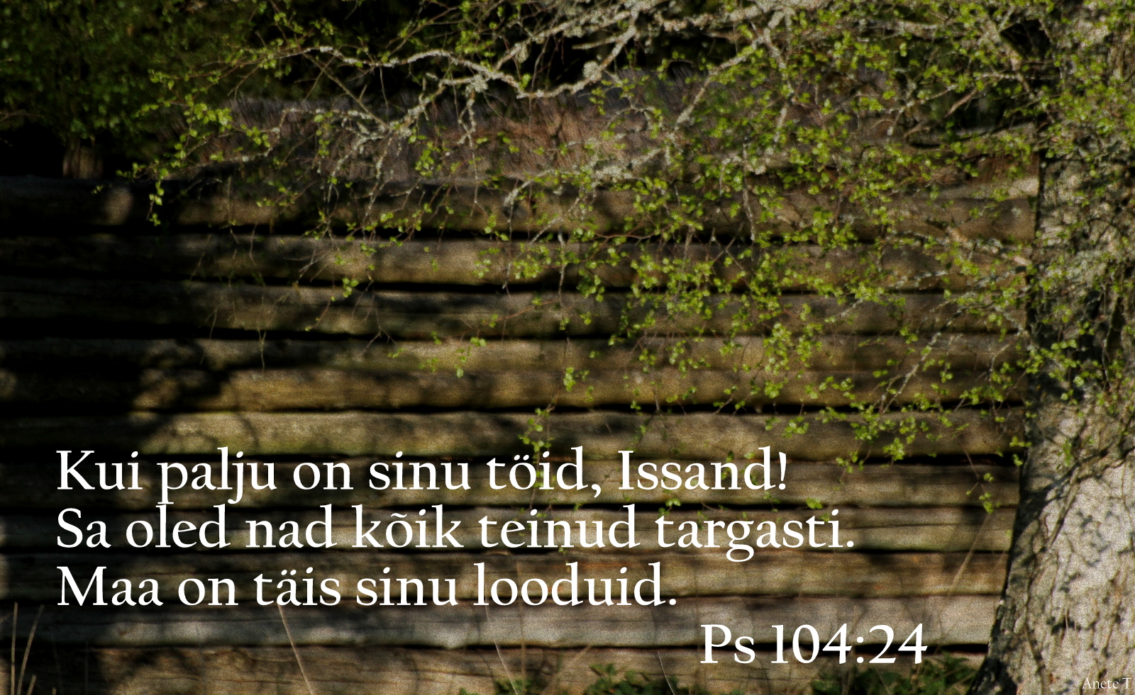 20210523_Ps_104_24.jpg
