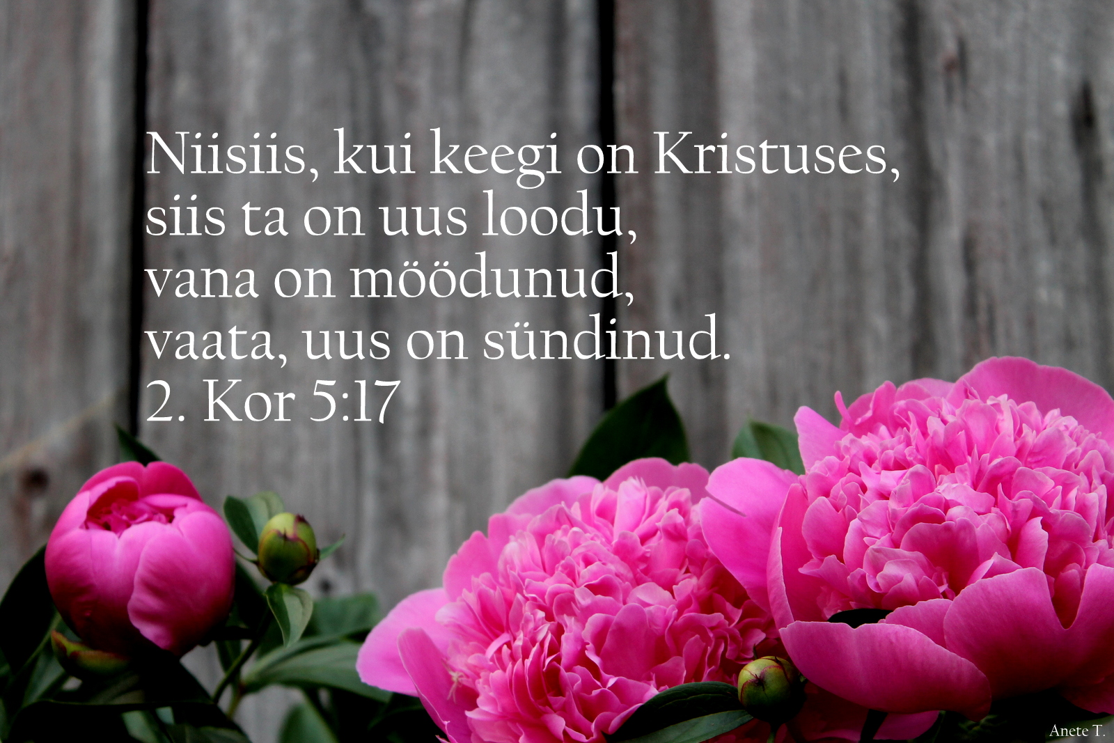 20210620_2Kr_5_17.jpg