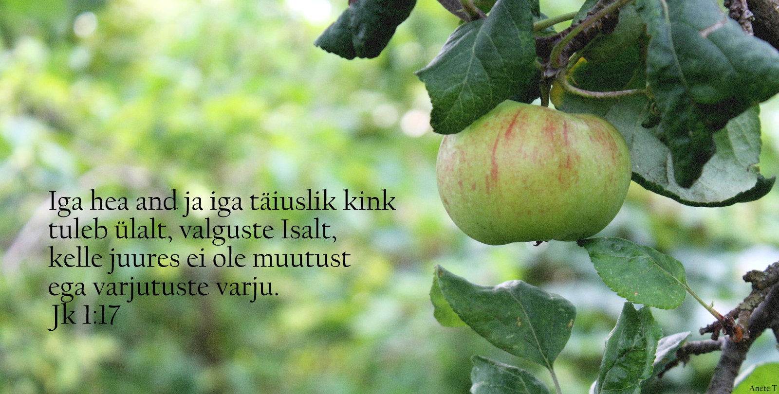 20210829_Jk_1_17.jpg