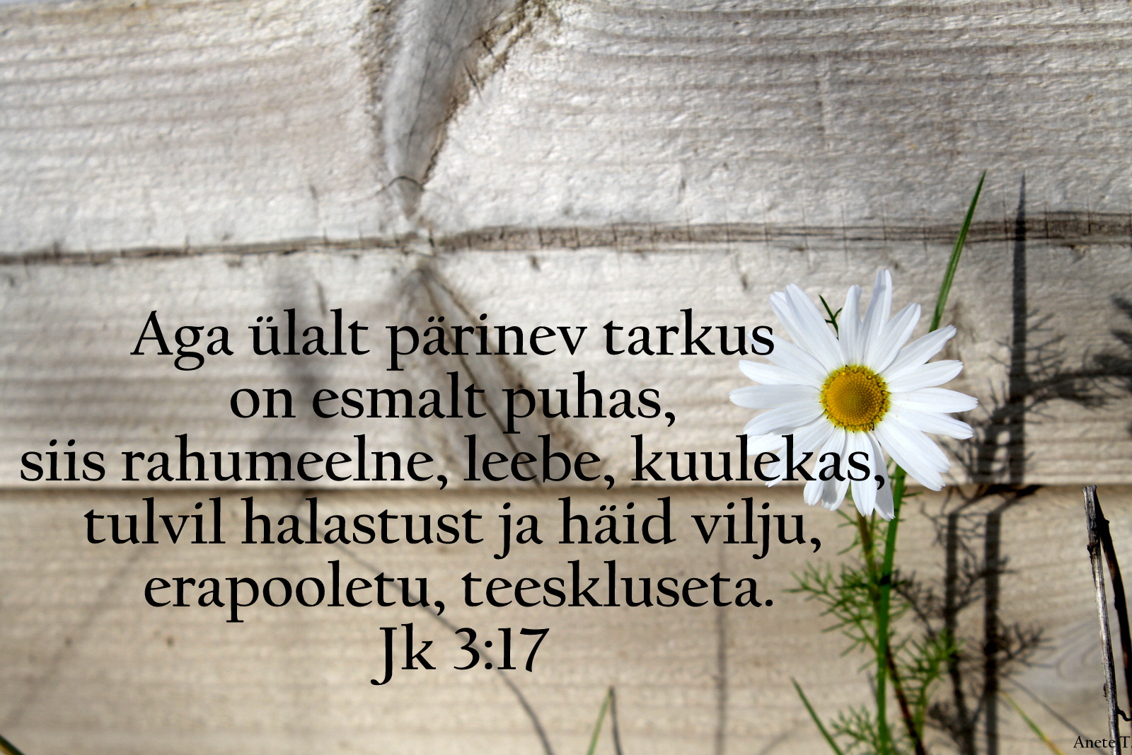 20210919_Jk_3_17.jpg