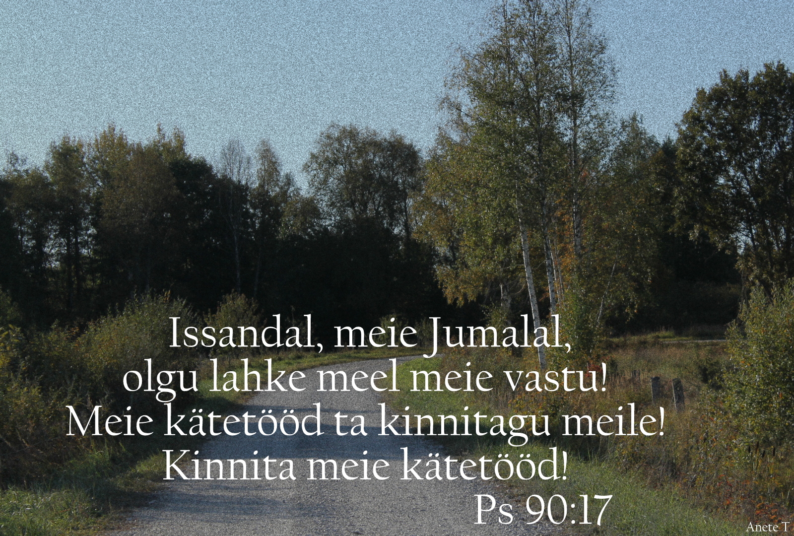 20211010_Ps_90_17.jpg