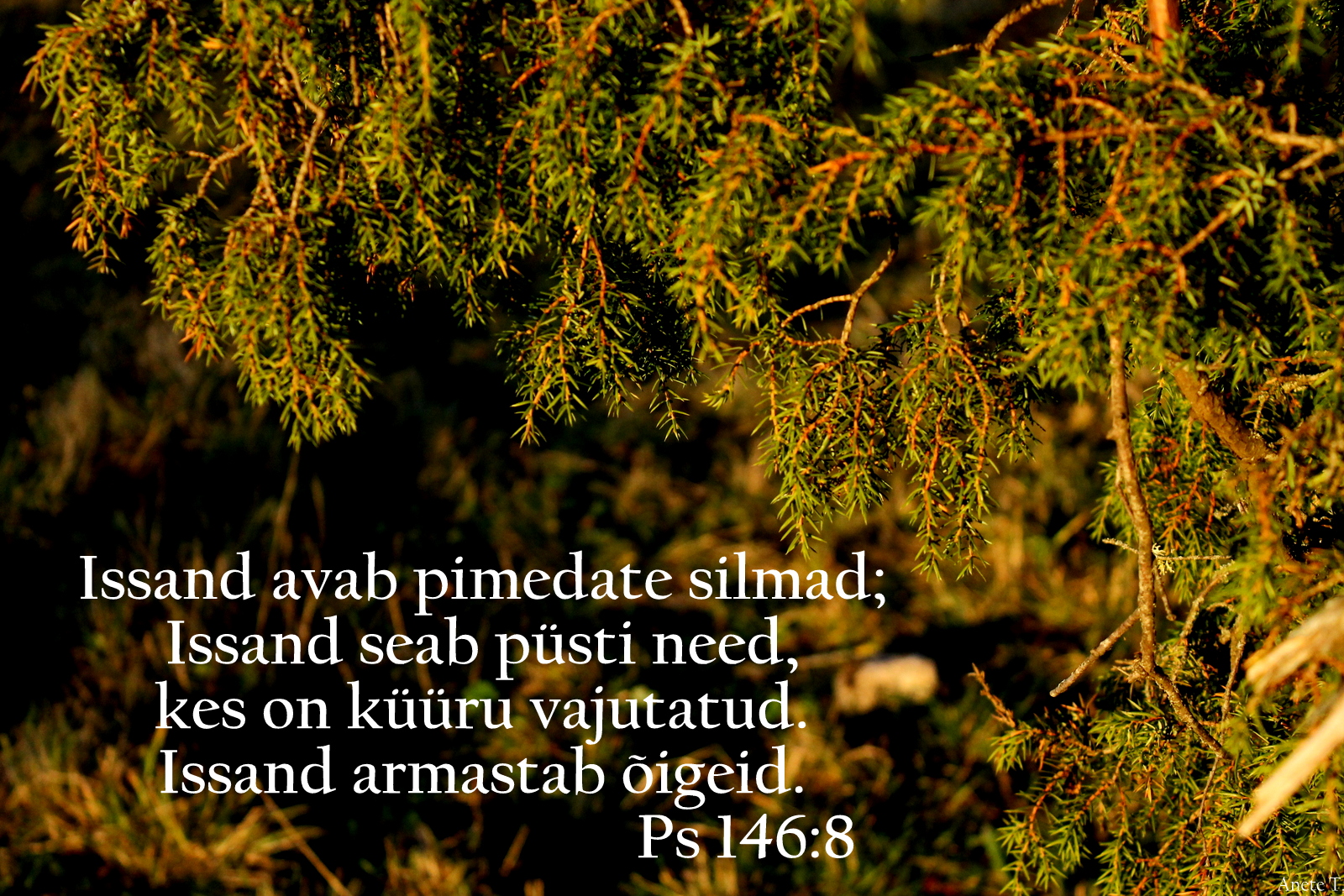 20211107_Ps_146_8.jpg