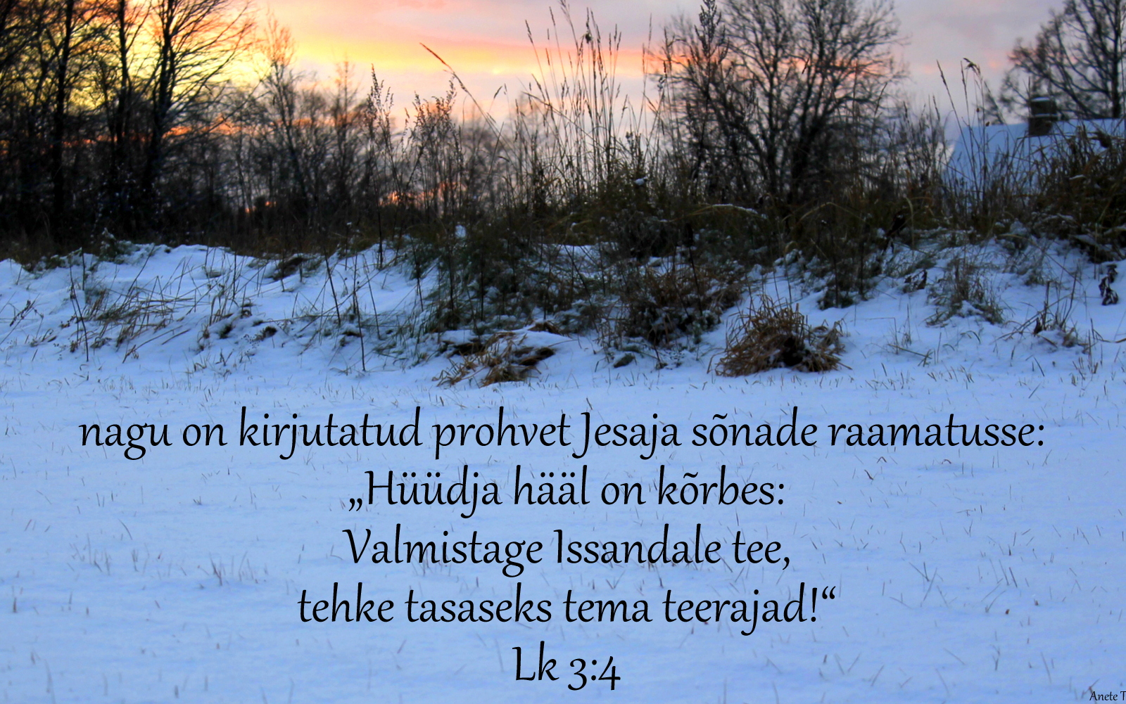 20211205_Lk_3_4.jpg