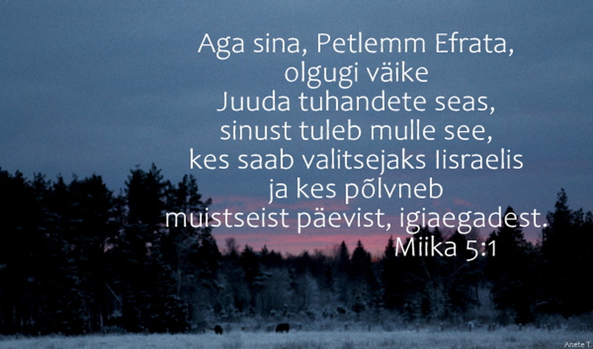20211219_Mi_5_1.jpg