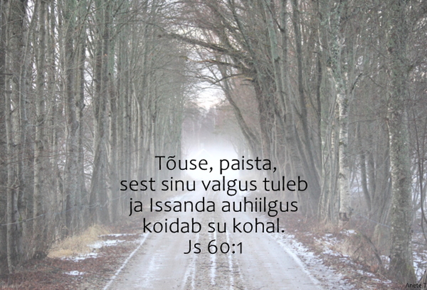 20220102_Js_60_1.jpg