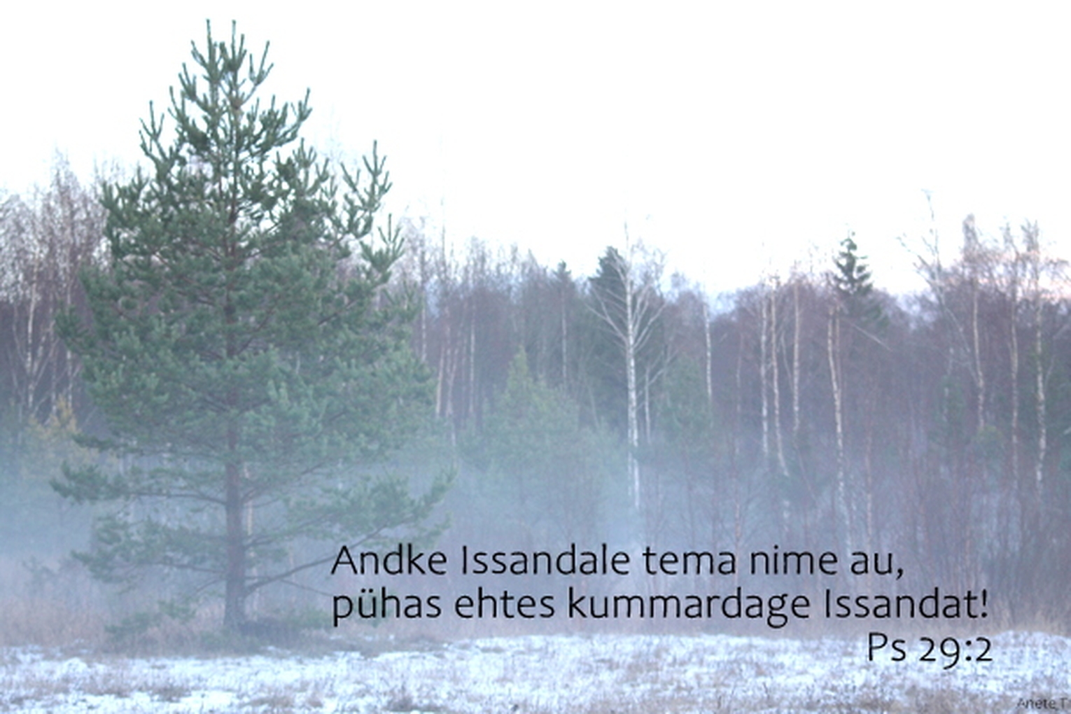20220109_Ps_29_2.jpg