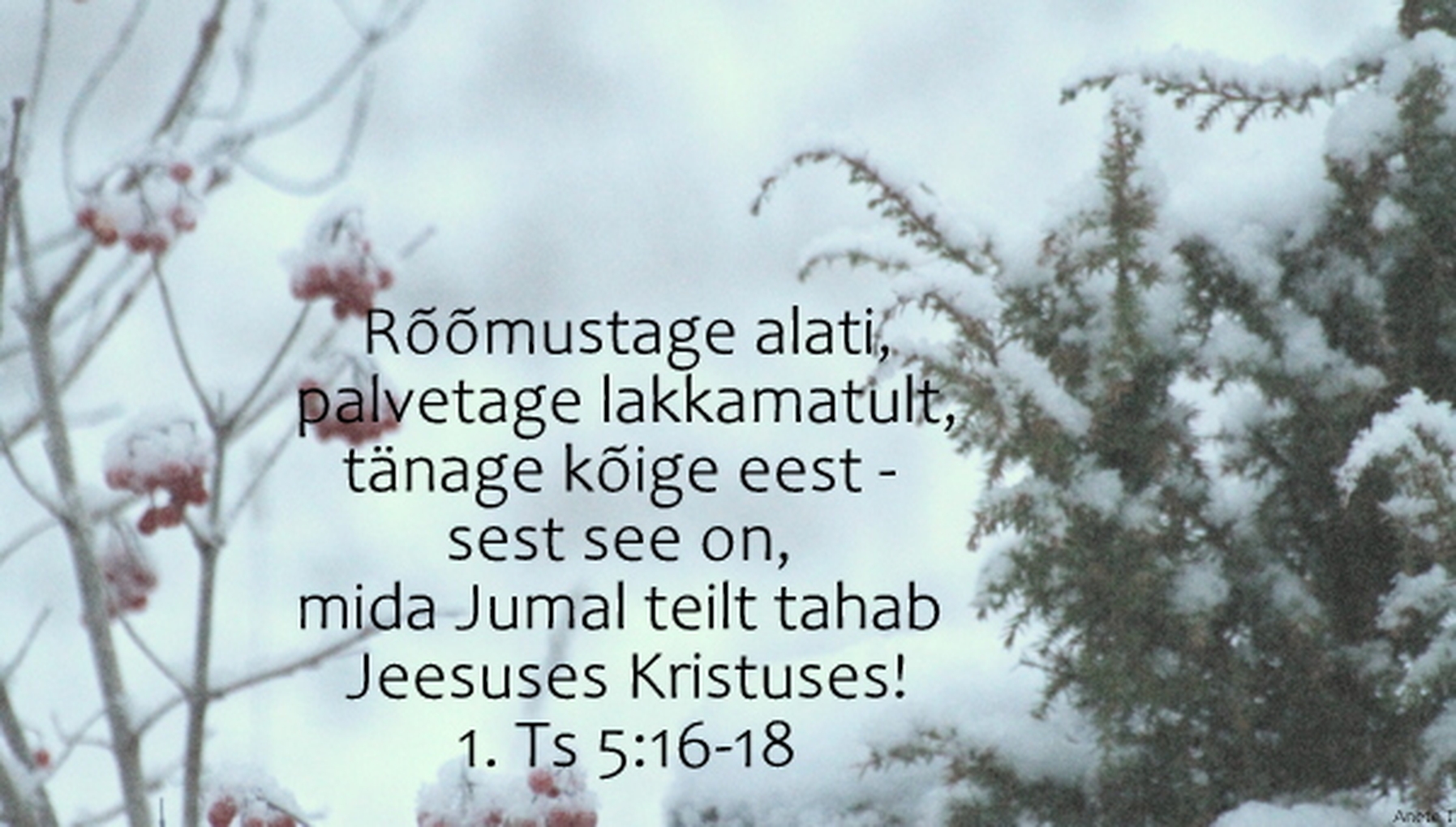 20220116_1Ts_5_16_18.jpg