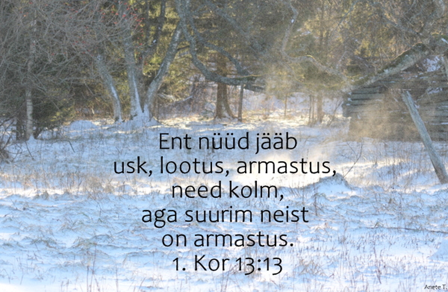 20220130_1Kr_13_13.jpg