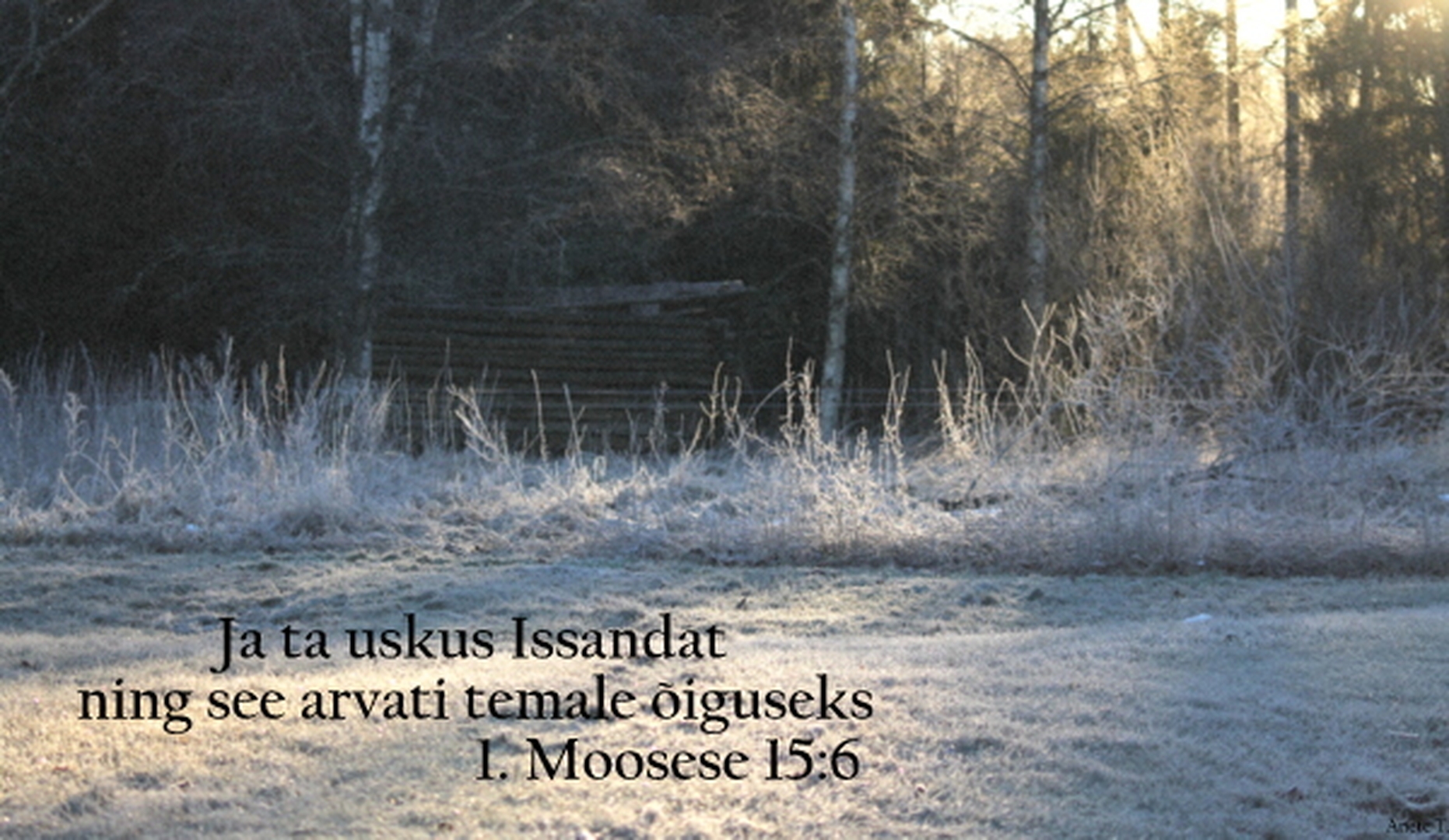 20220313_1Ms_15_6.jpg
