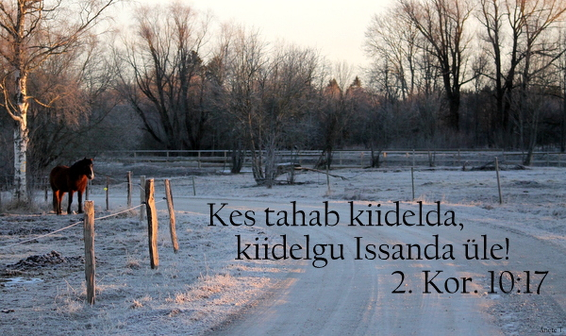 20220320_2Kr_10_17.jpg