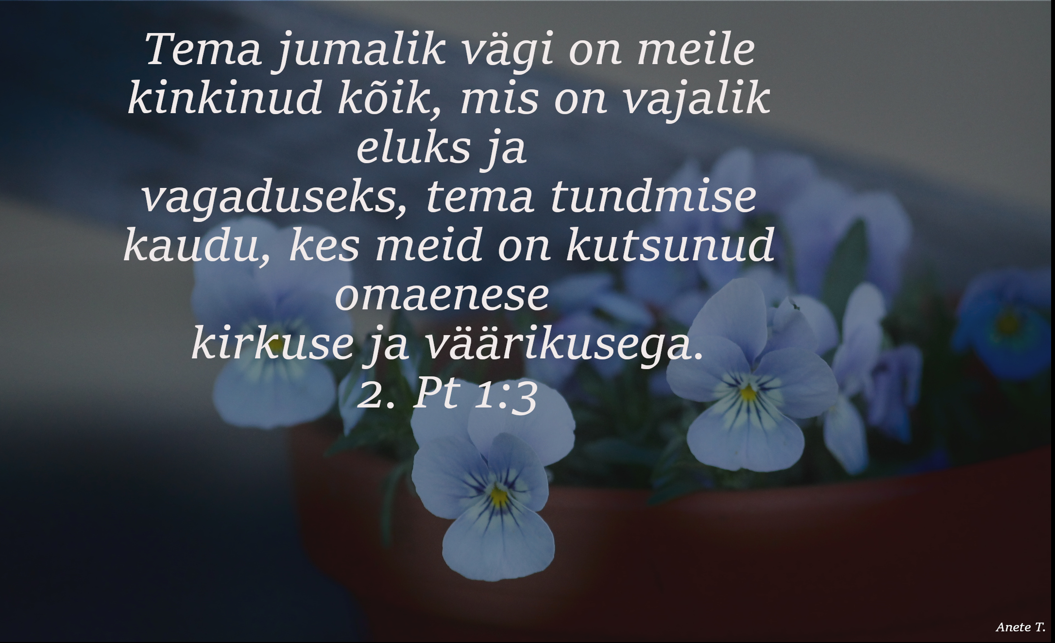 20220501_2Pt_1_3.jpg