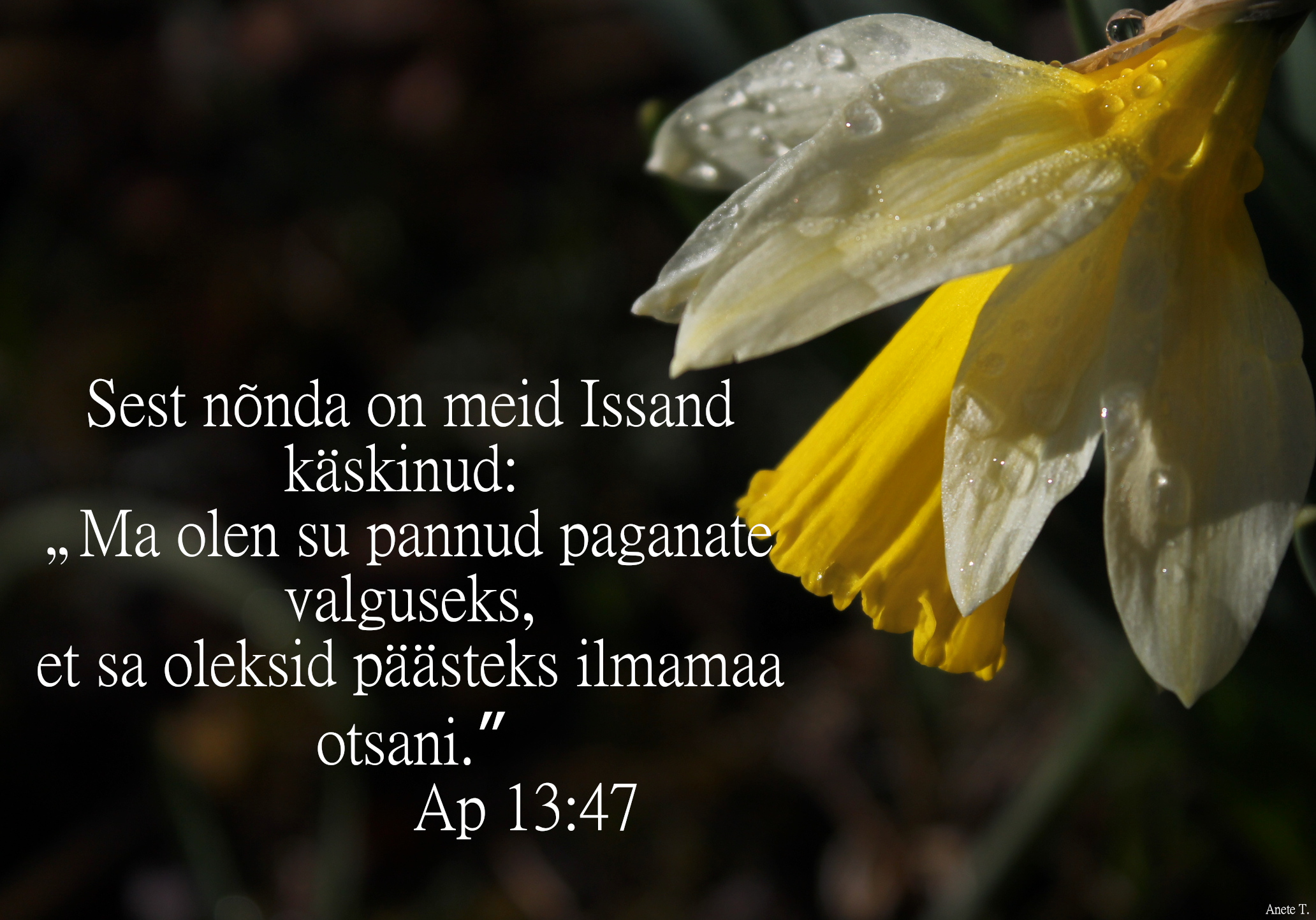 20220508_Ap_13_47.jpg