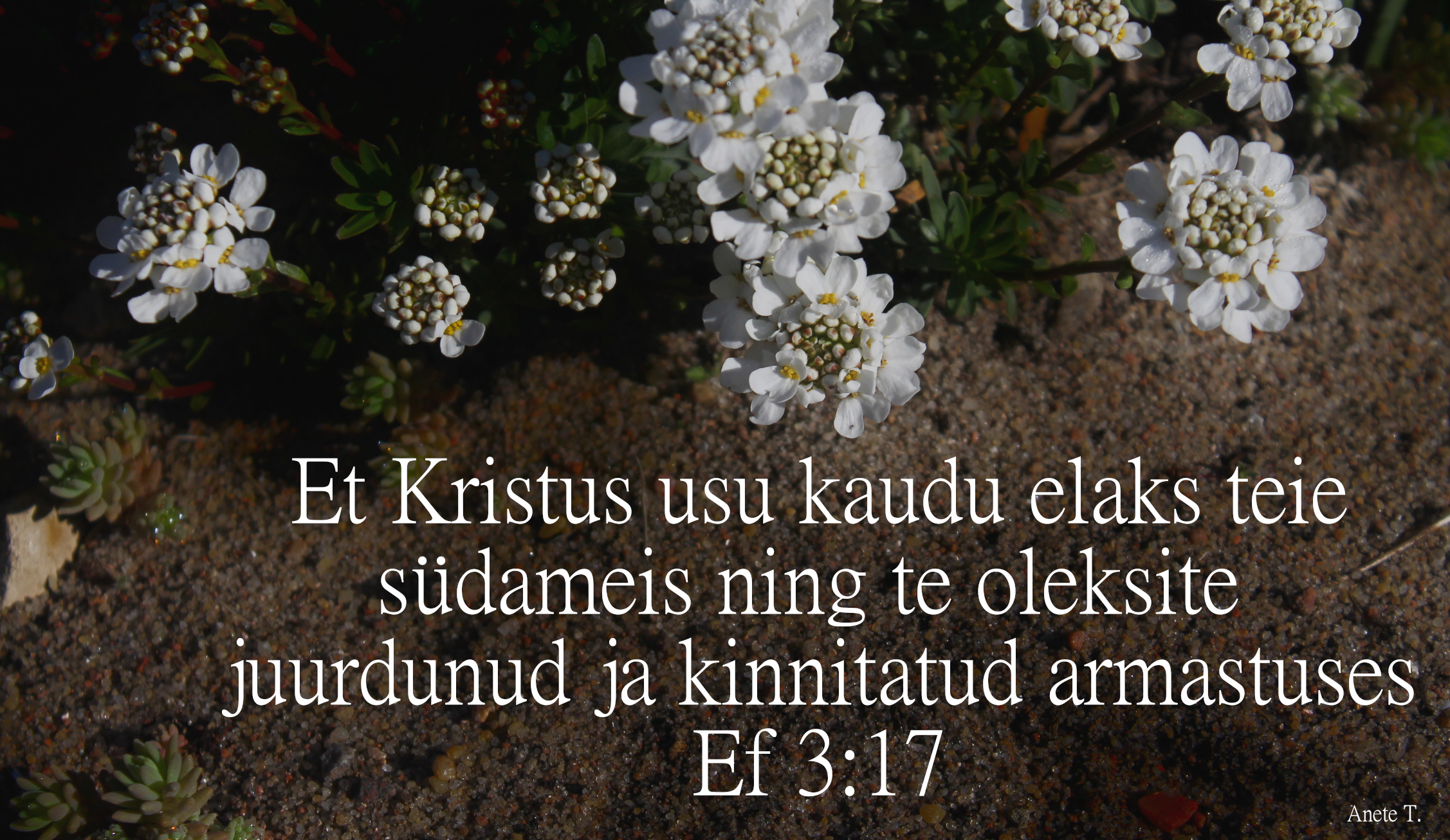 20220517_Ef_3_17.jpg