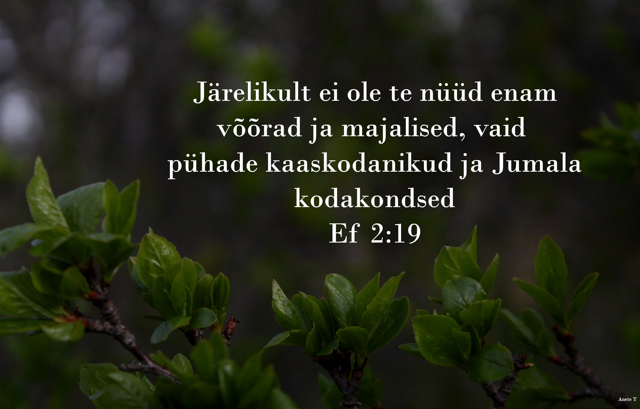 20220522_Ef_2_19.jpg