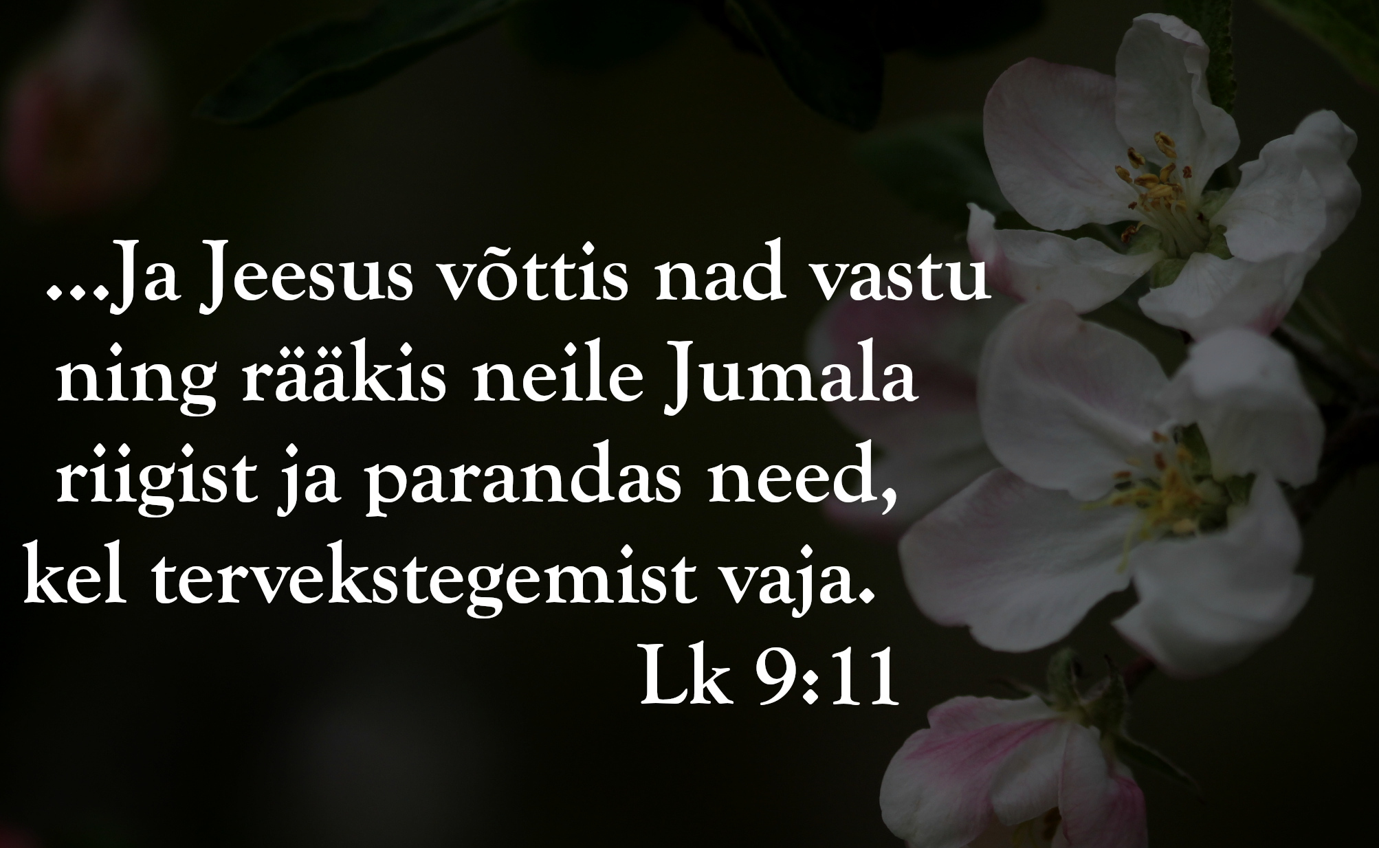 20220619_Lk_9_11.jpg