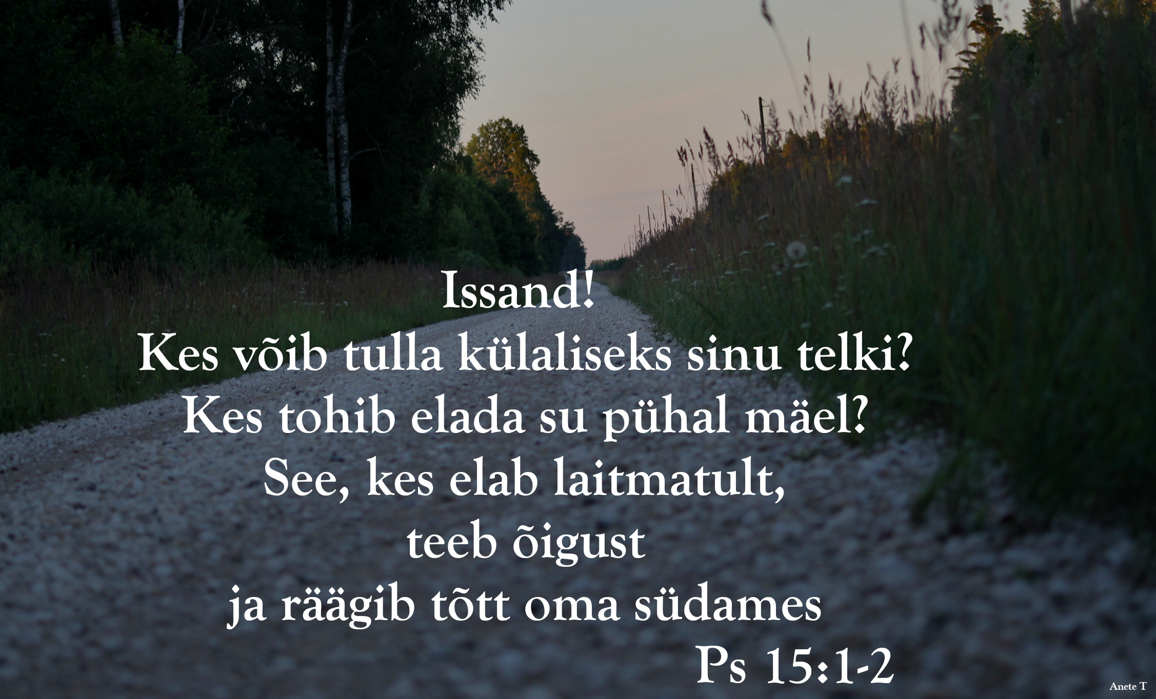 20220717_Ps_15_2.jpg