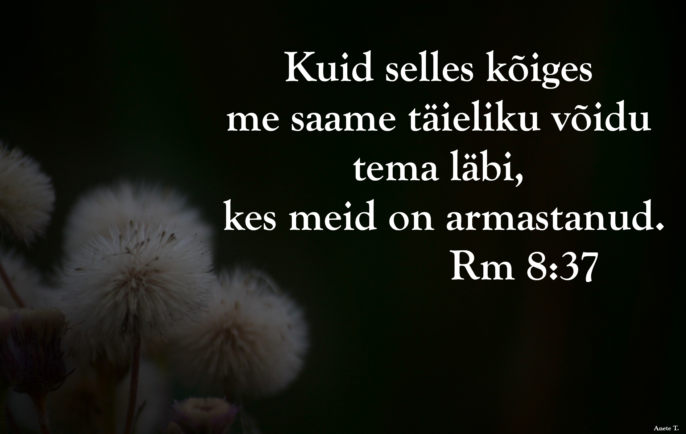 20220724_Rm_8_37.jpg