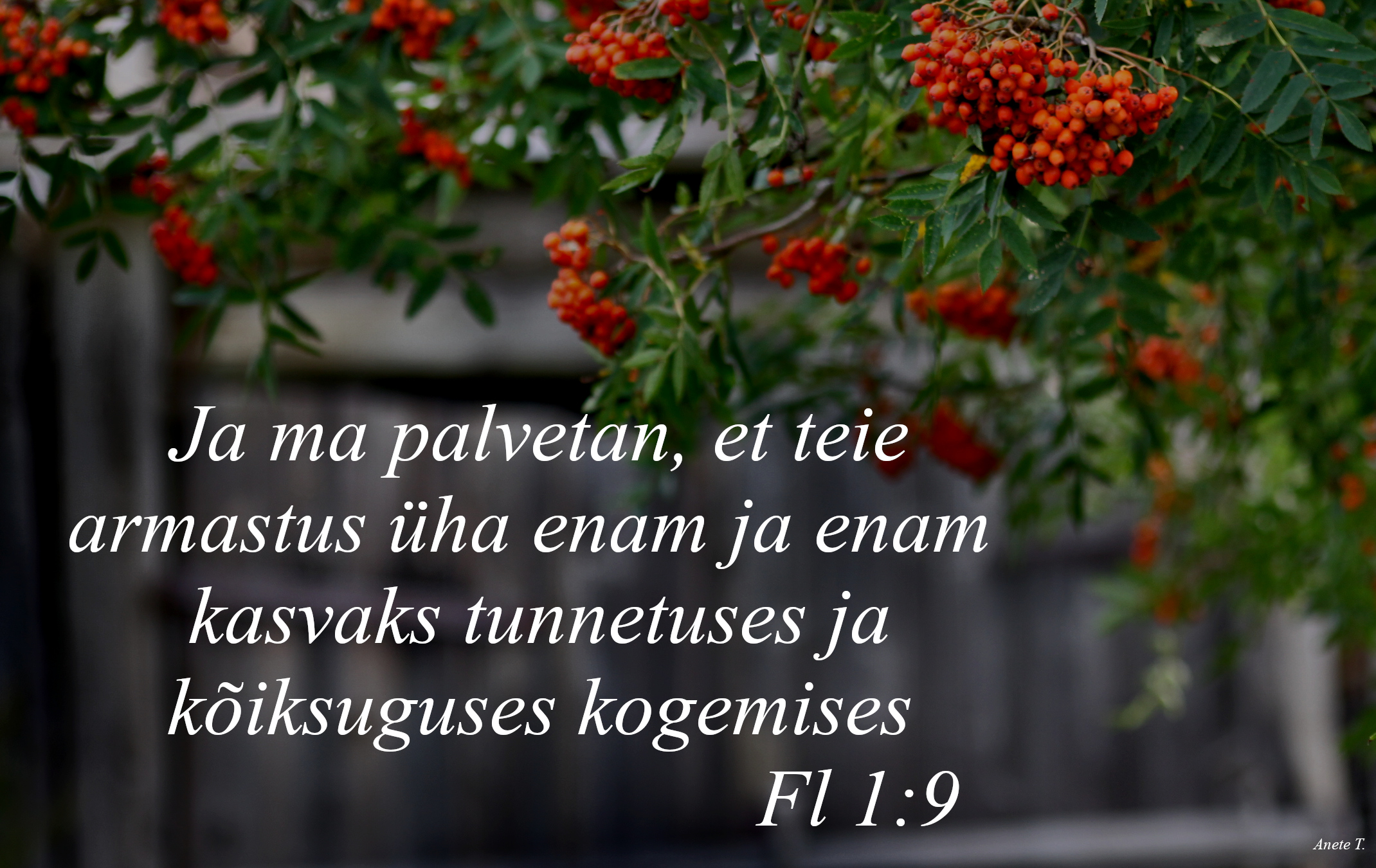 20220904_Fl_1_9.jpg