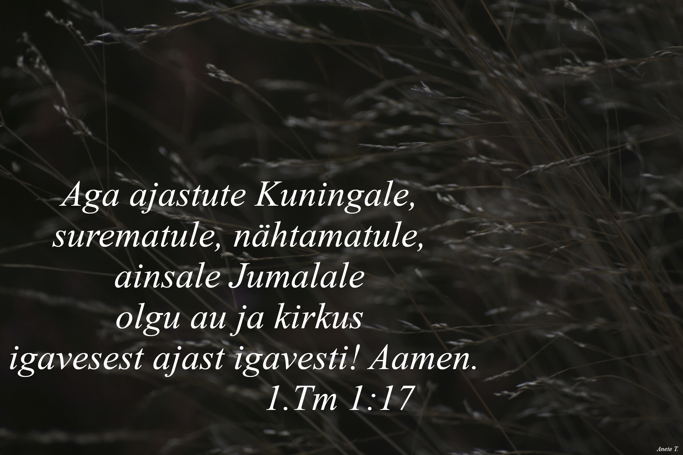 20220911_1Tm_1_17.jpg