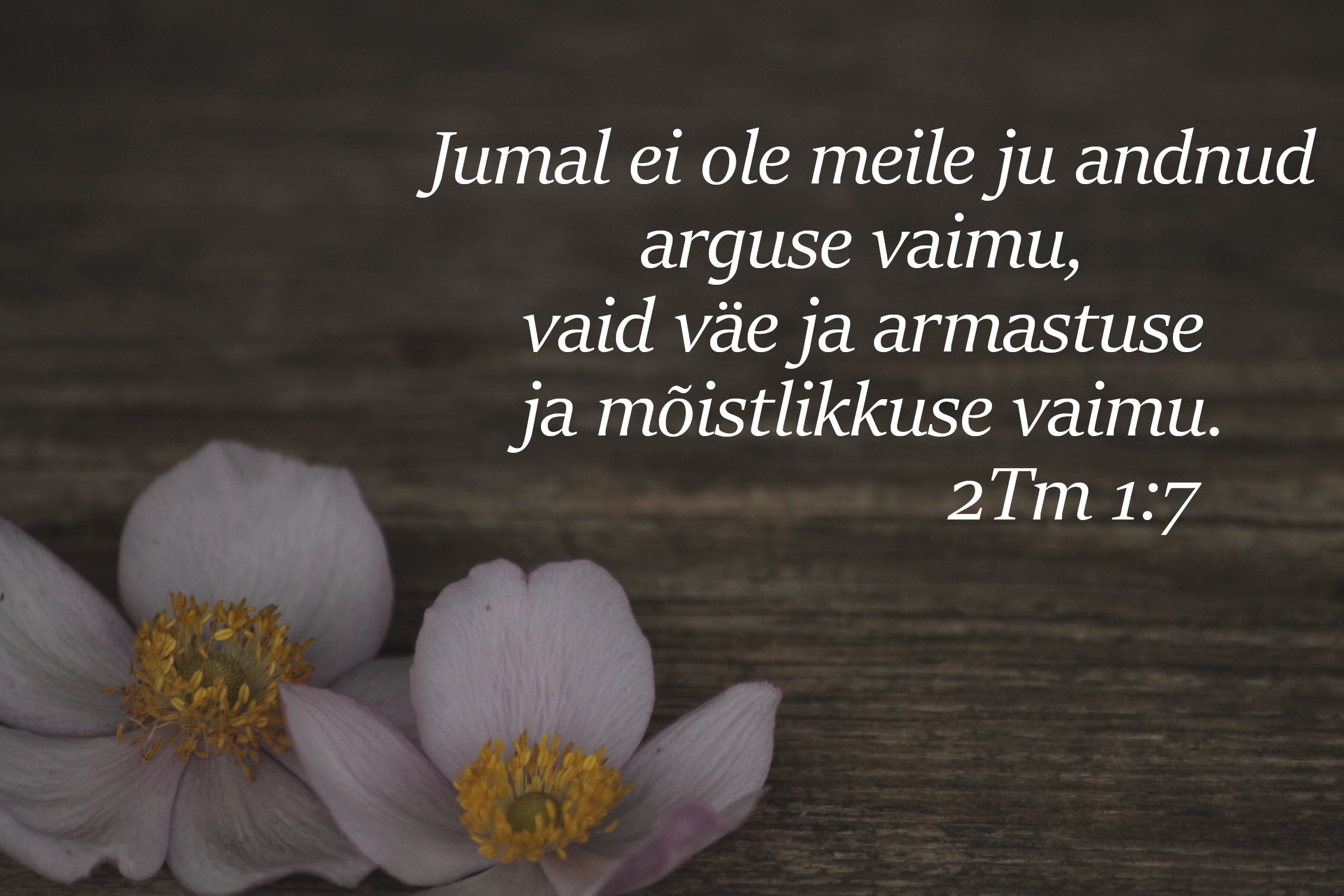 20221002_2Tm_1_7.jpg