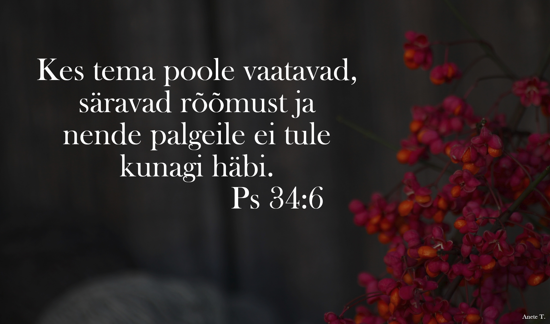 20221023_Ps_34_6.jpg