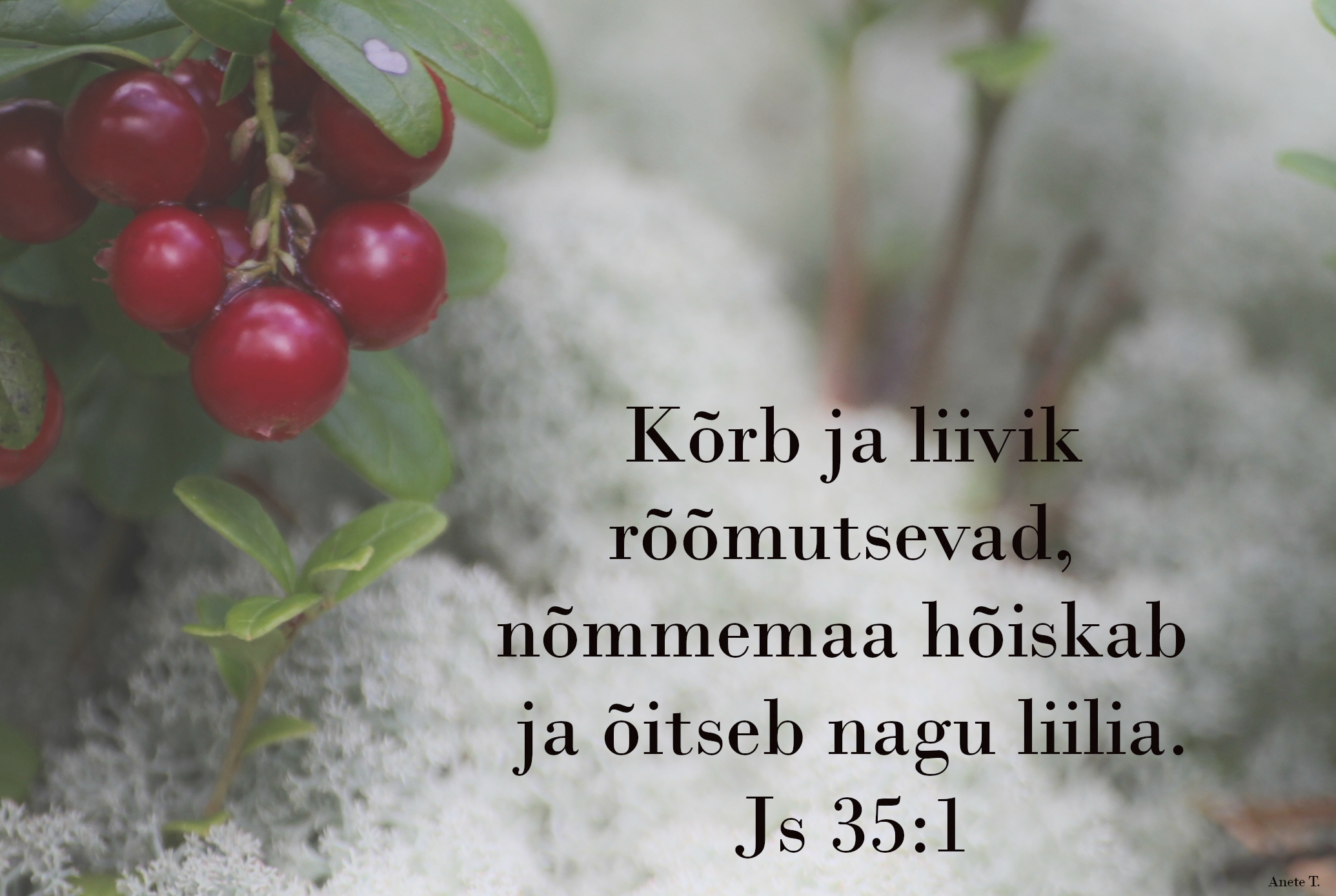 20221211_Js_35_1.jpg