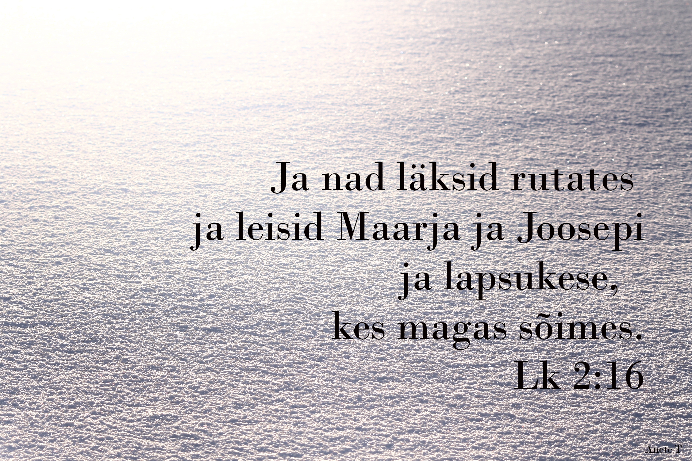 20221225_Lk_2_16.jpg