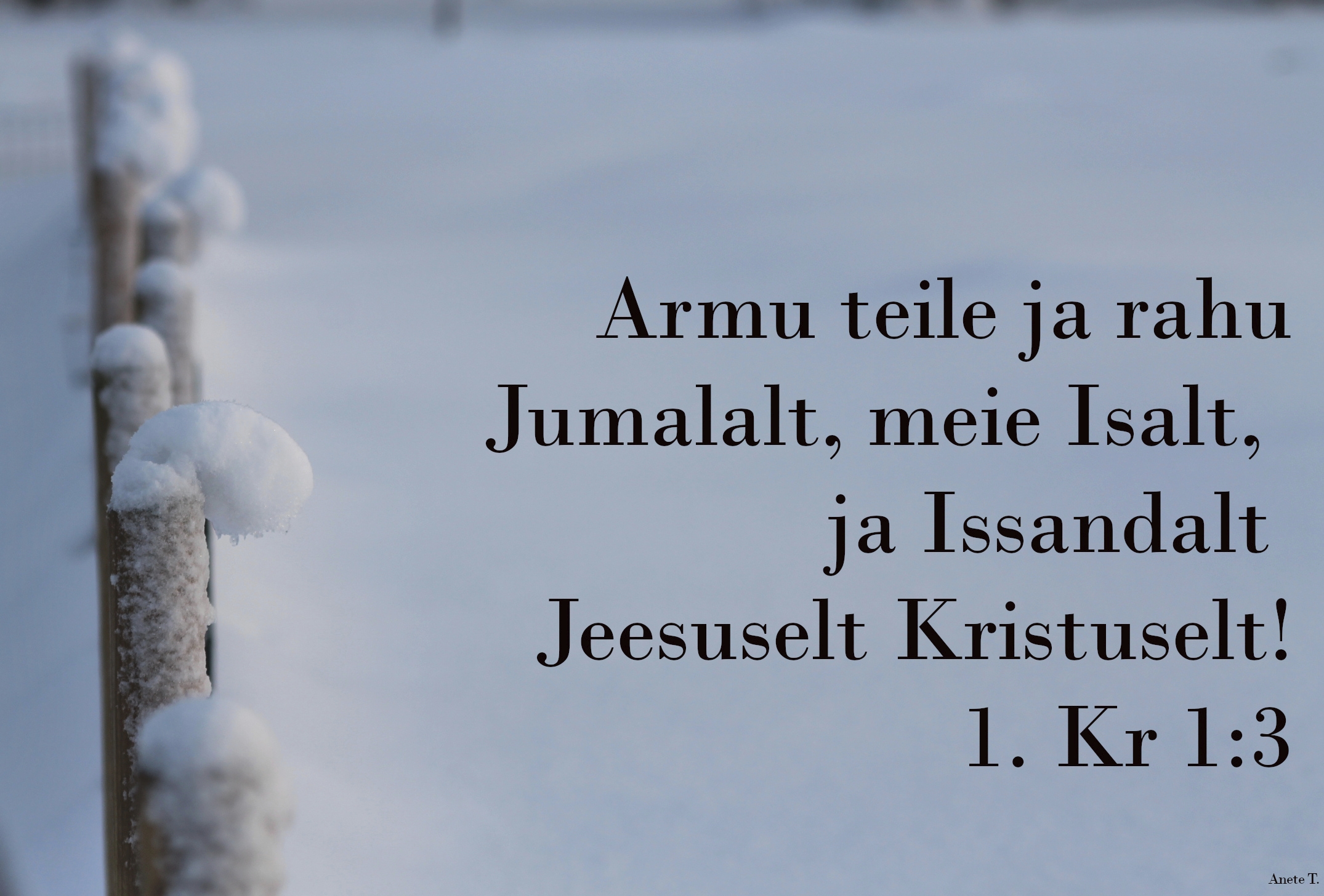 20230115_1Kr_1_1_3.jpg