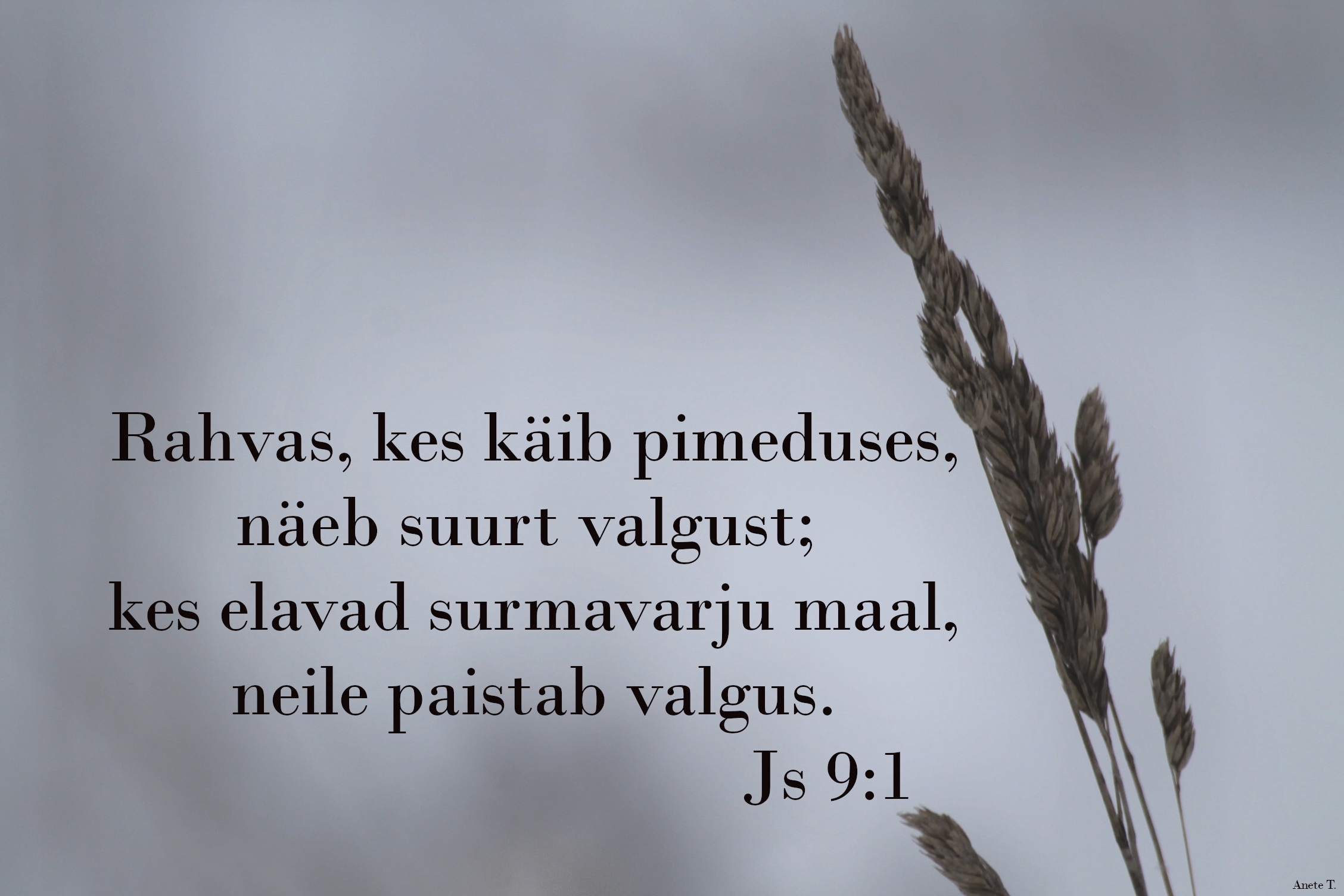 20230122_Js_9_1.jpg