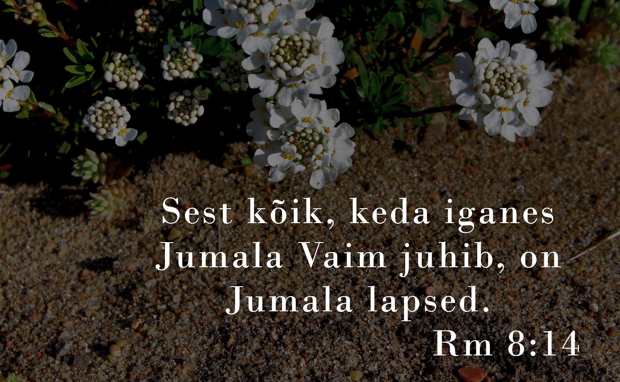 20230402_Rm_8_14.jpg