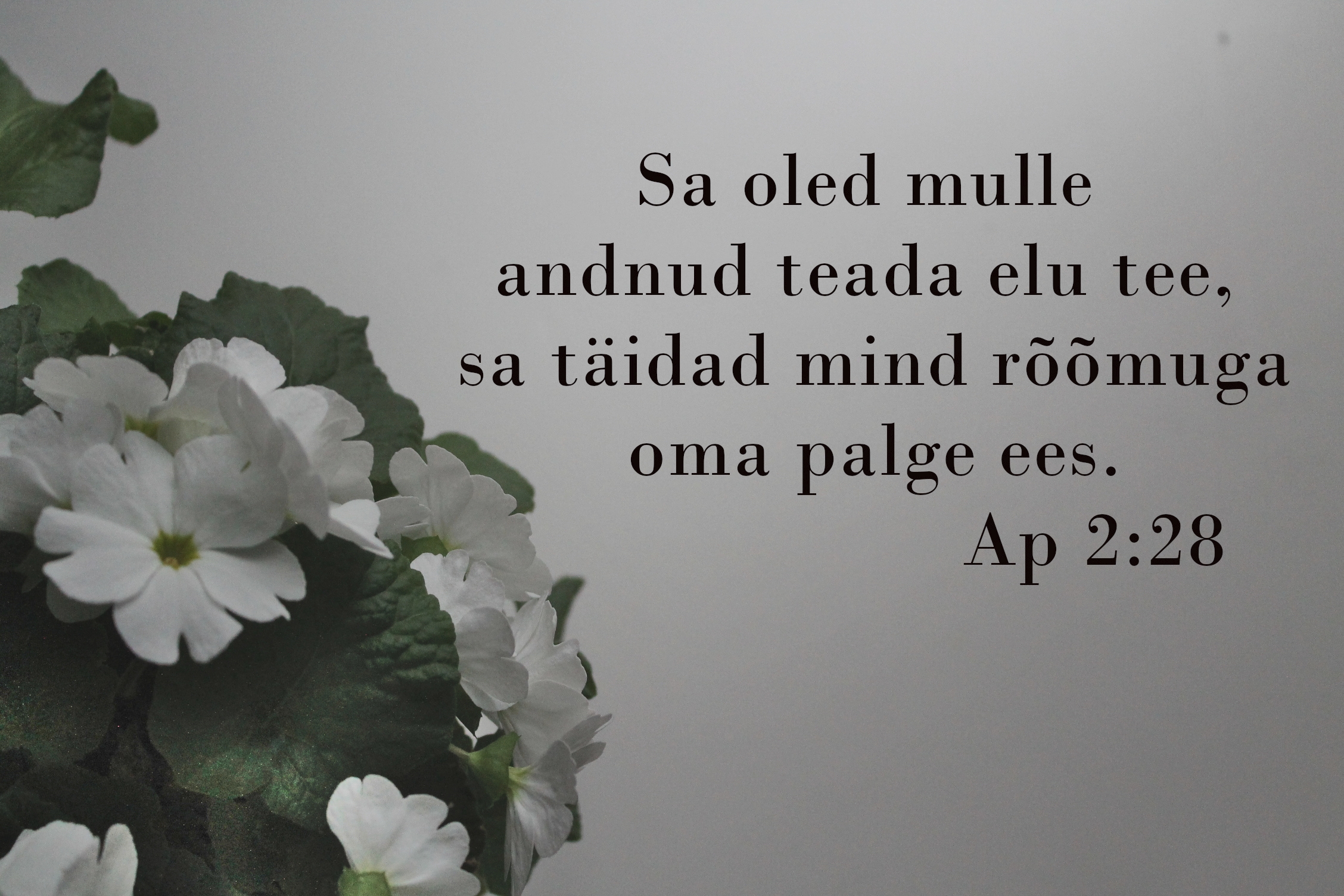 20230430_Ap_2_28.jpg