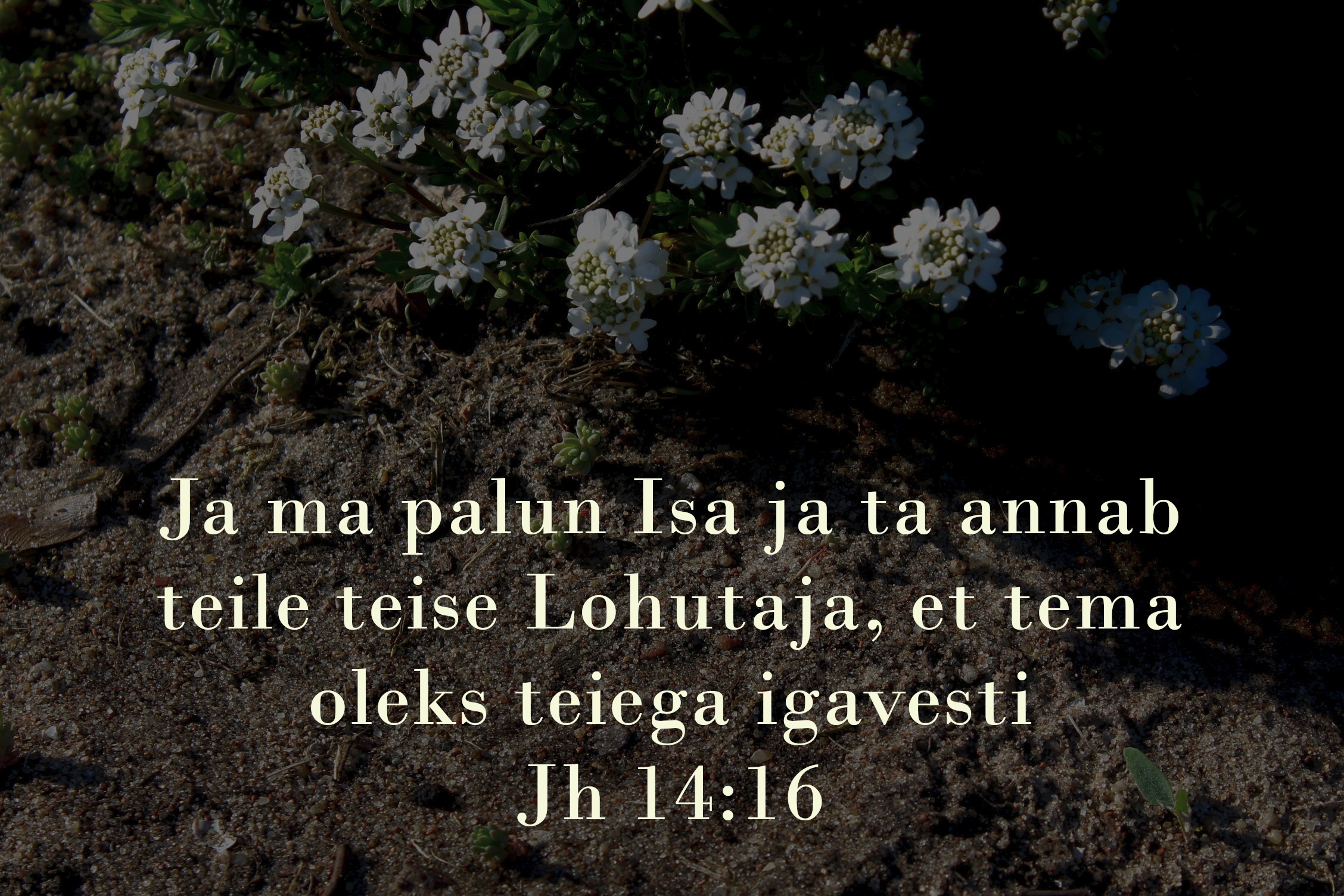 20230521_Jh_14_16.jpg