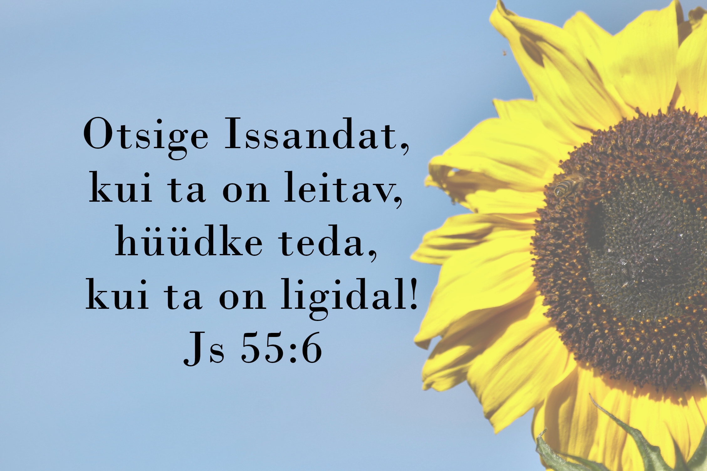 20230924_Js_55_6.jpg