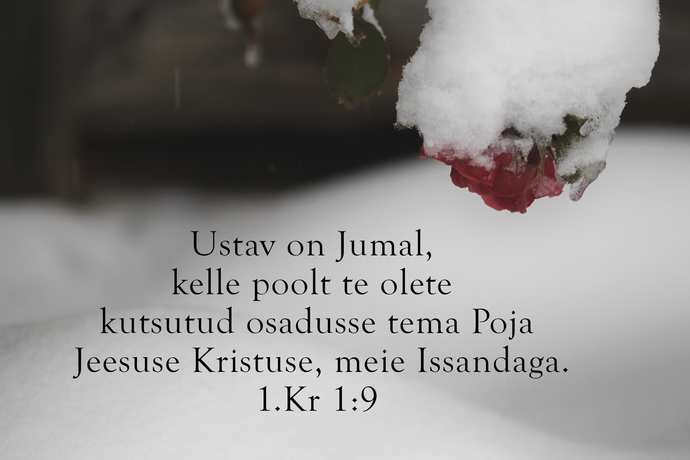 20231203_1Kr_1_9.jpg