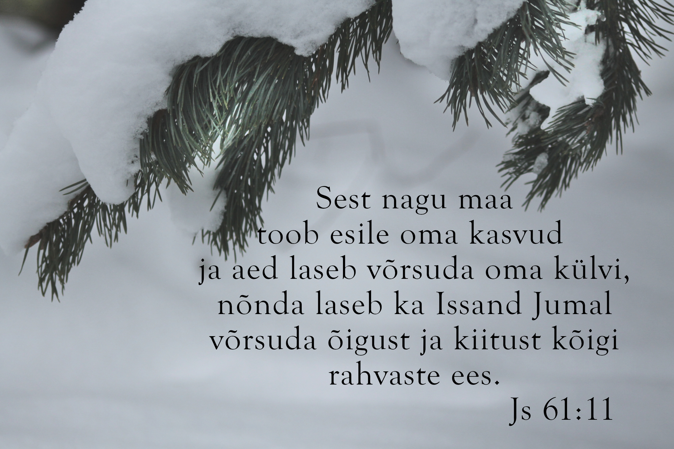 20231217_Js_61_11.jpg