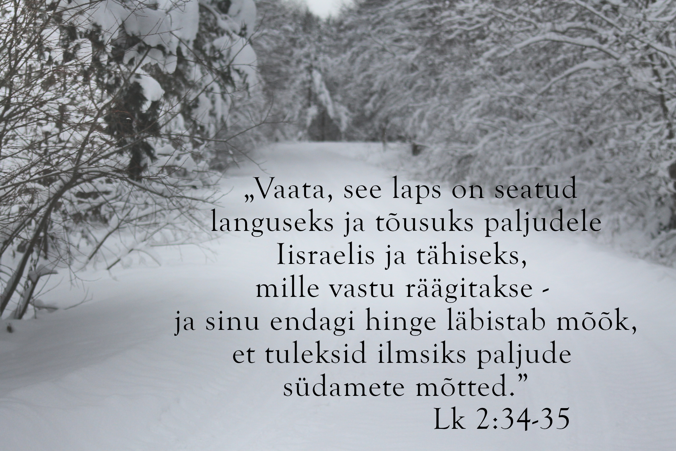 20231231_Lk_2_34_45.jpg