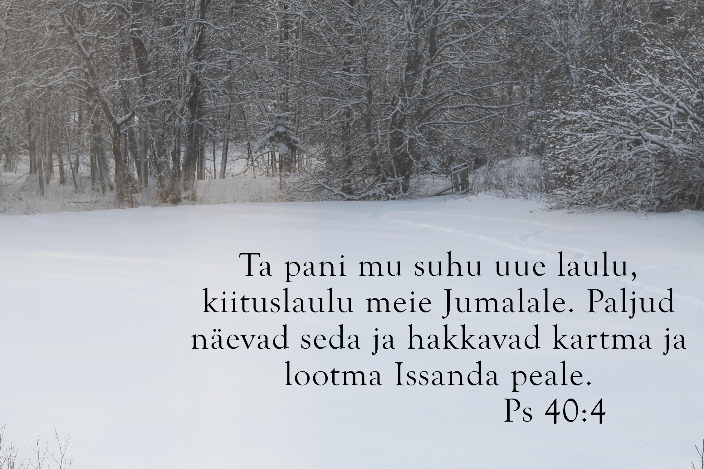 20240114_Ps_40_4.jpg