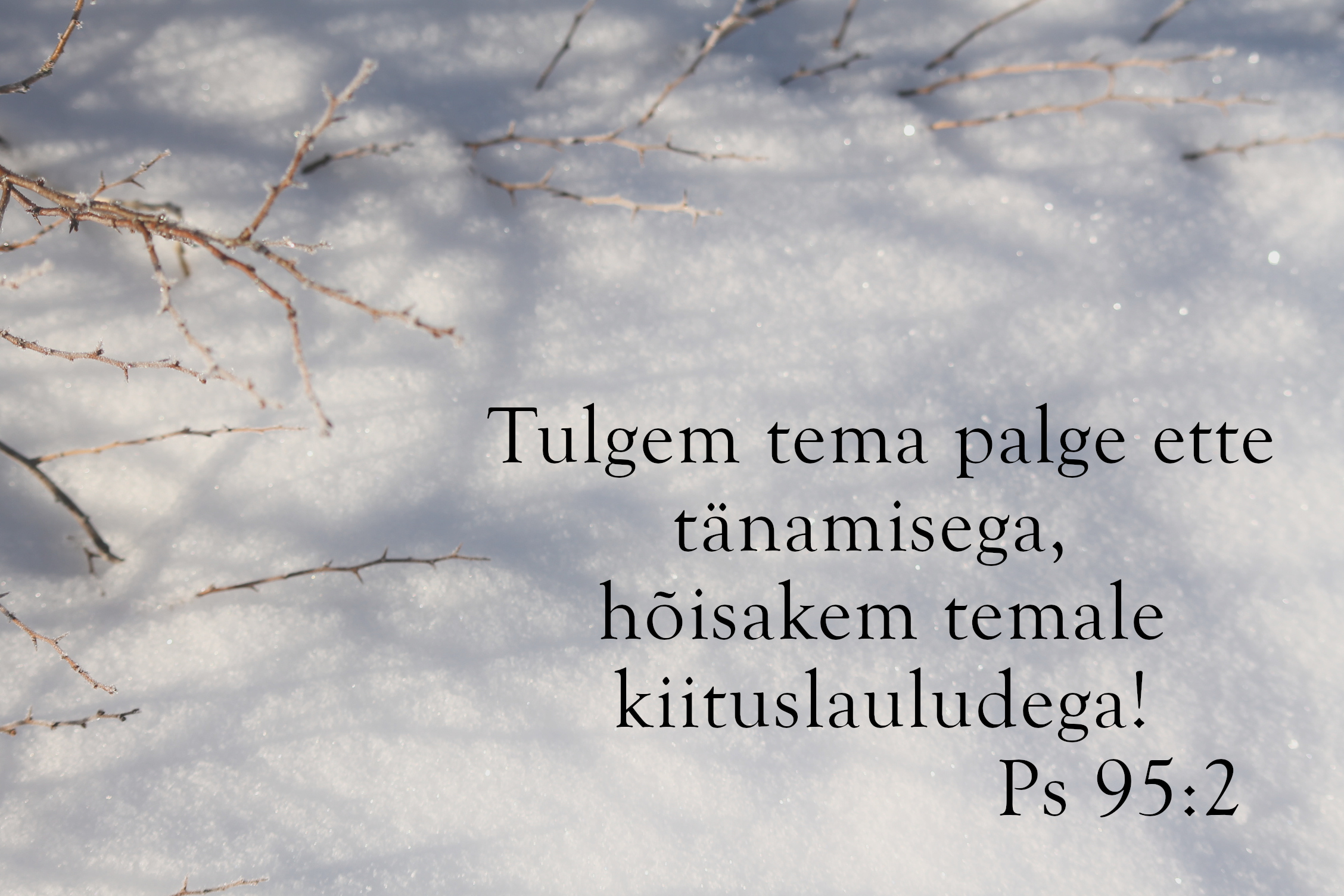 20240128_Ps_95_2.jpg
