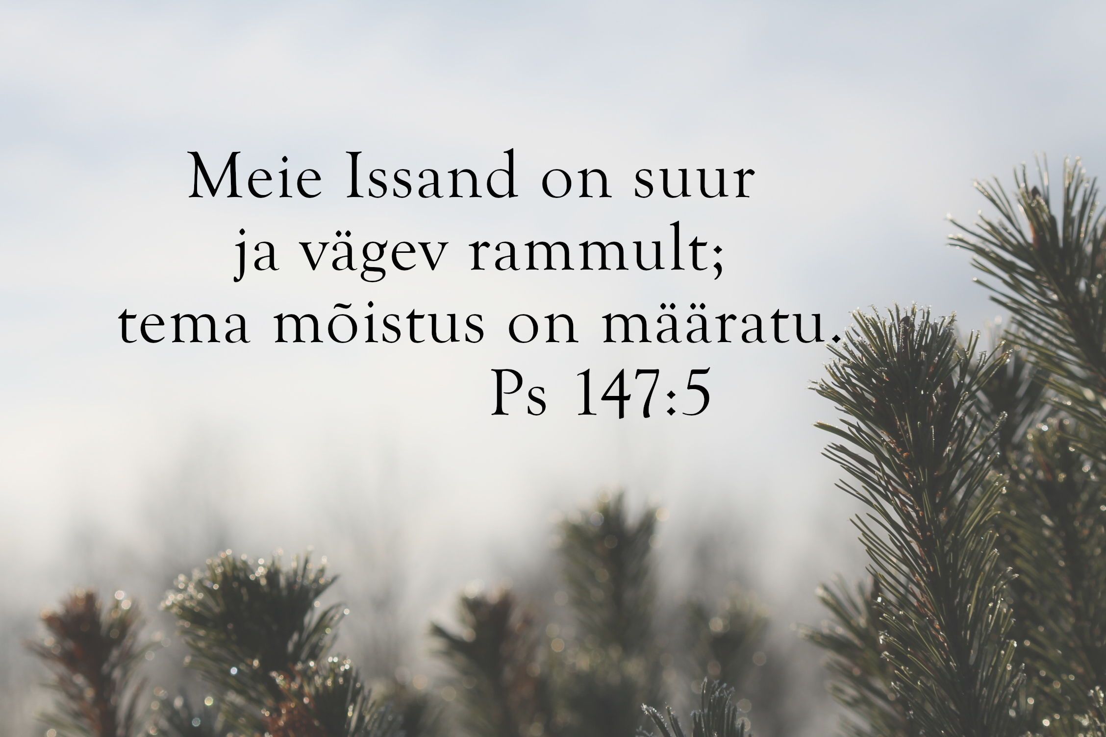 20240204_Ps_147_5.jpg