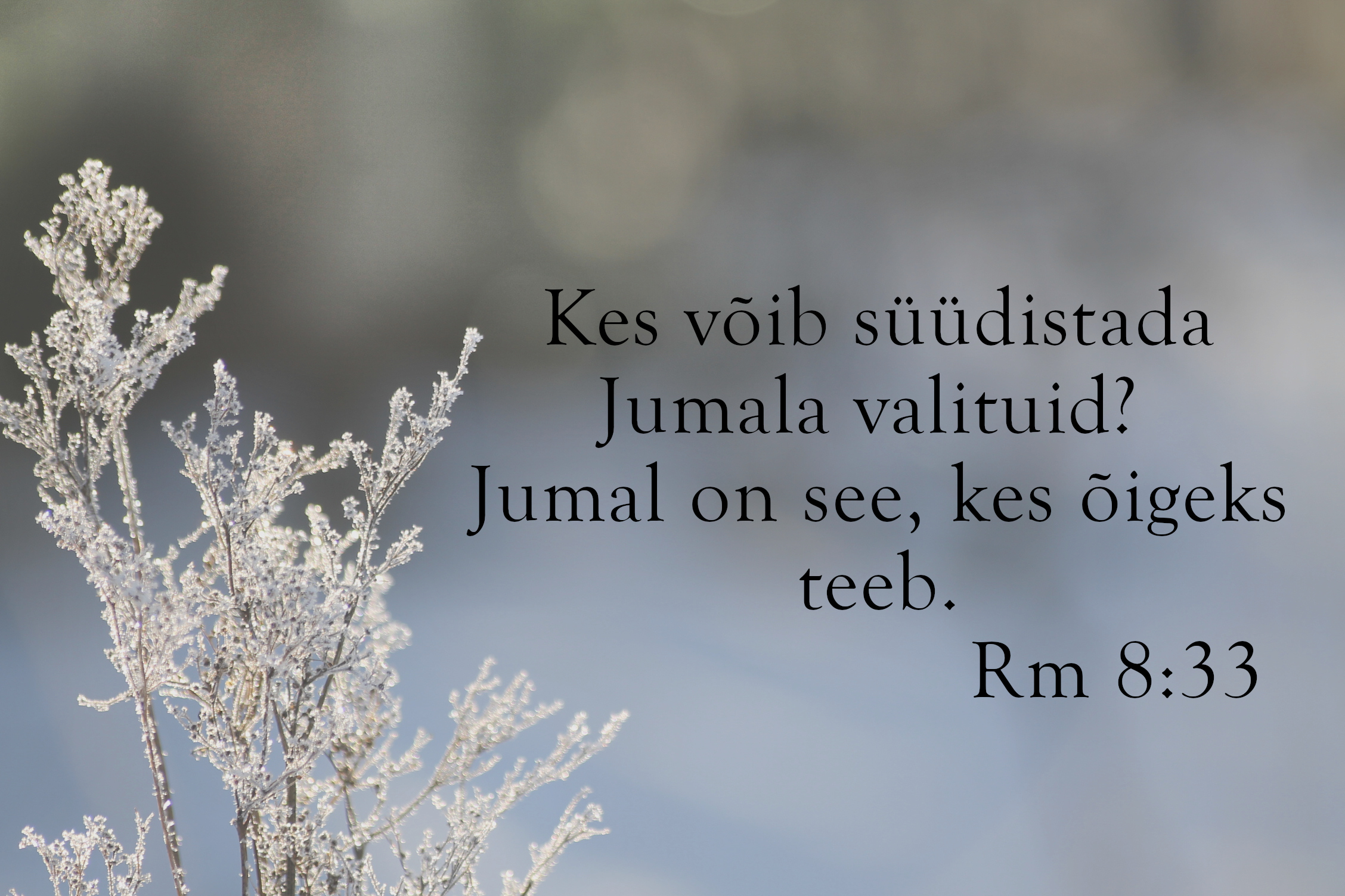 20240225_Rm_8_33.jpg