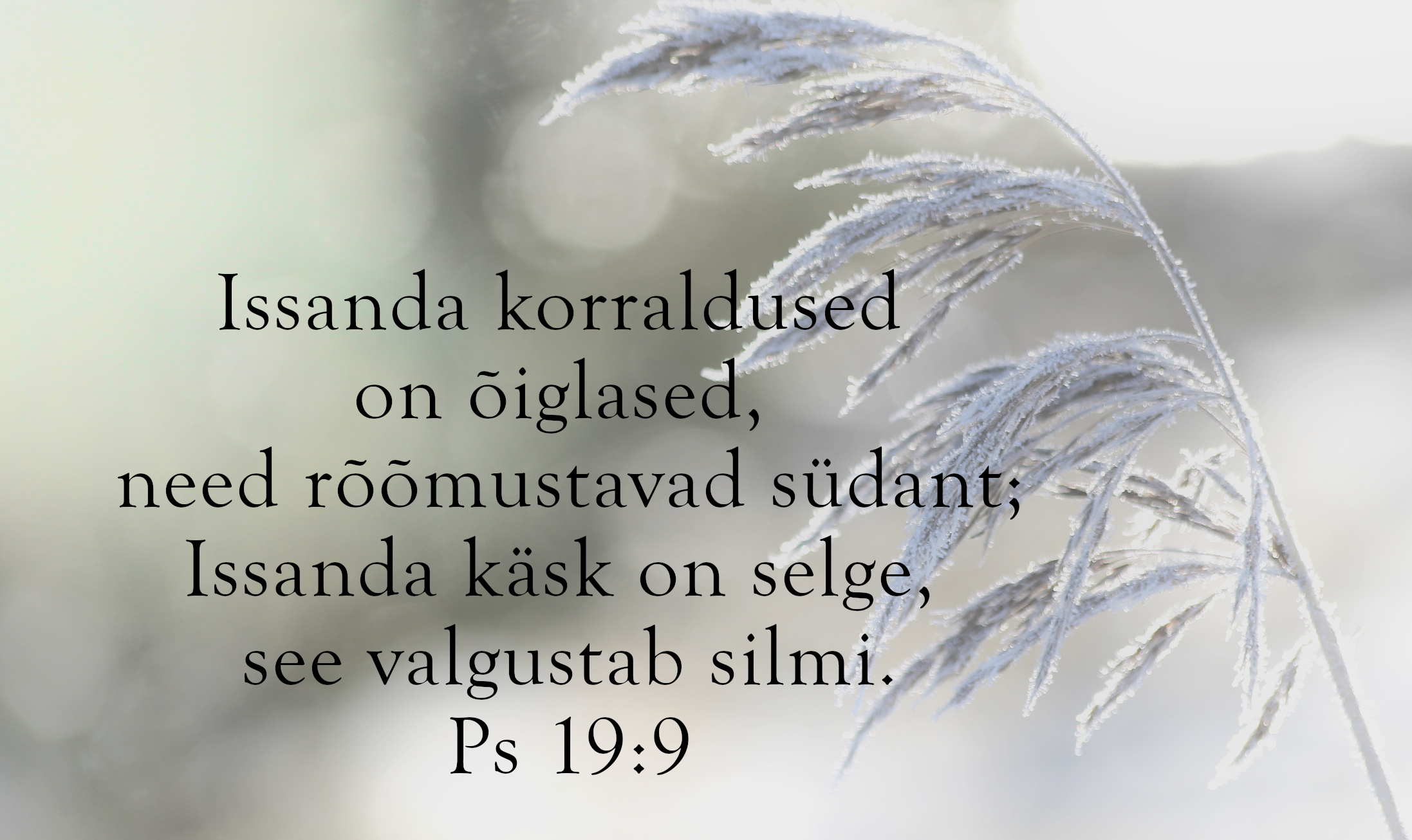 20240303_Ps_19_9.jpg
