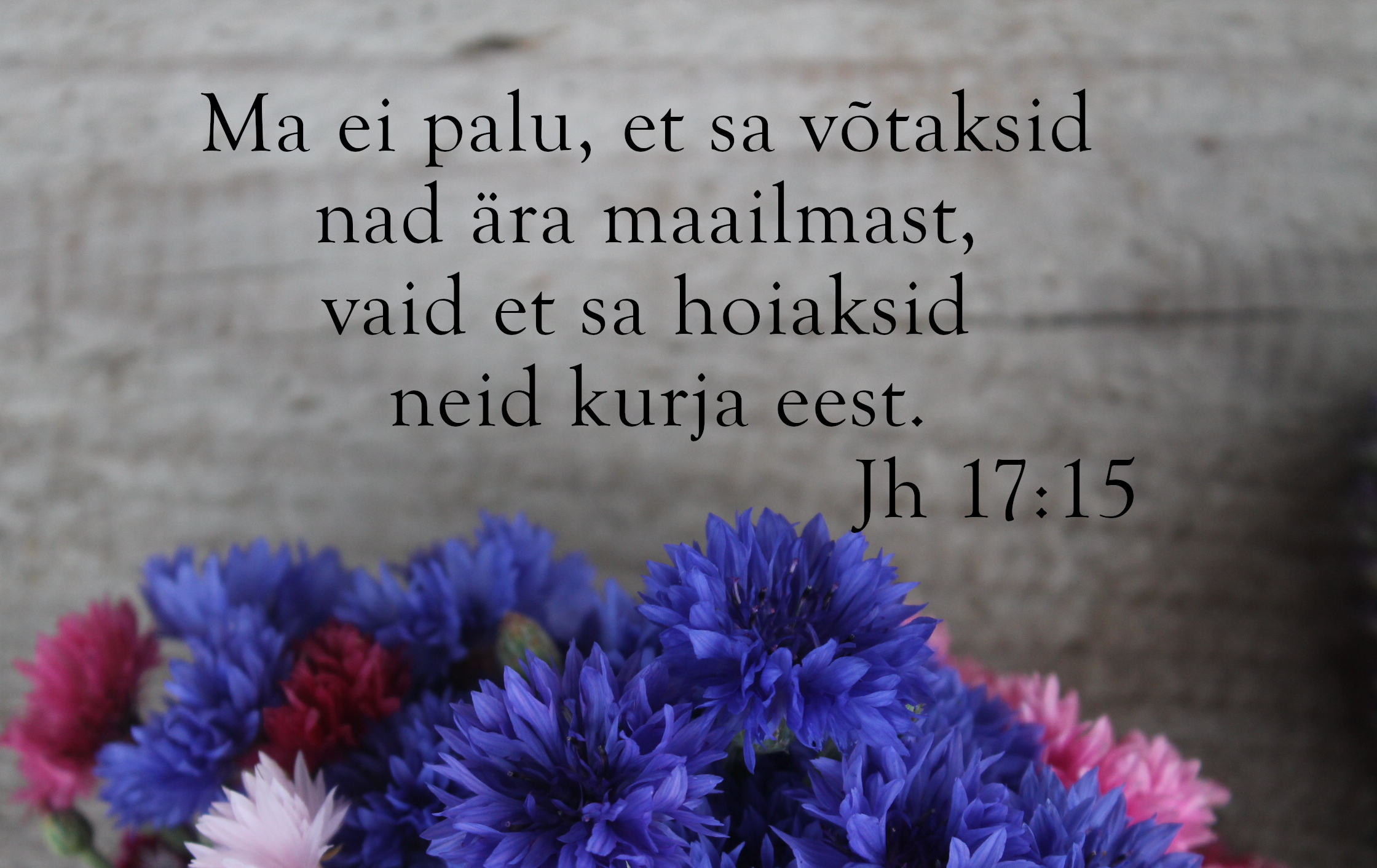 20240512_Jh_17_15.jpg