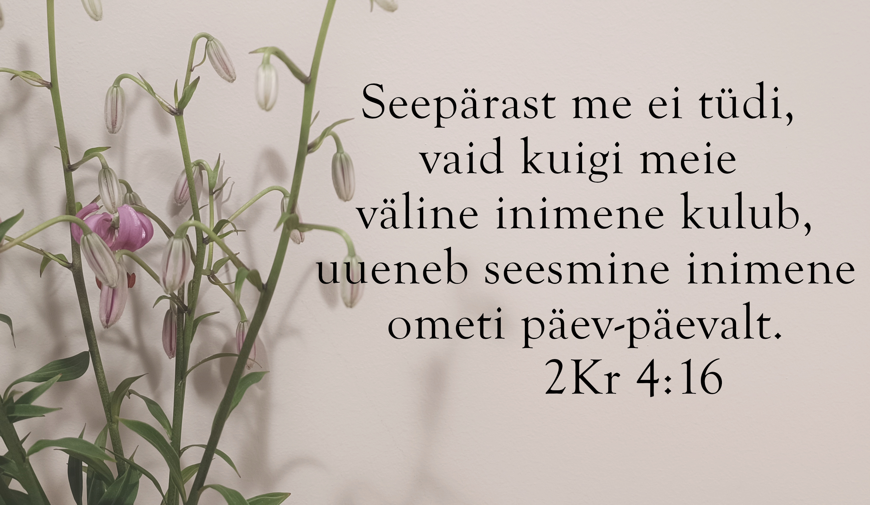 20240609_2Kr_4_16.jpg