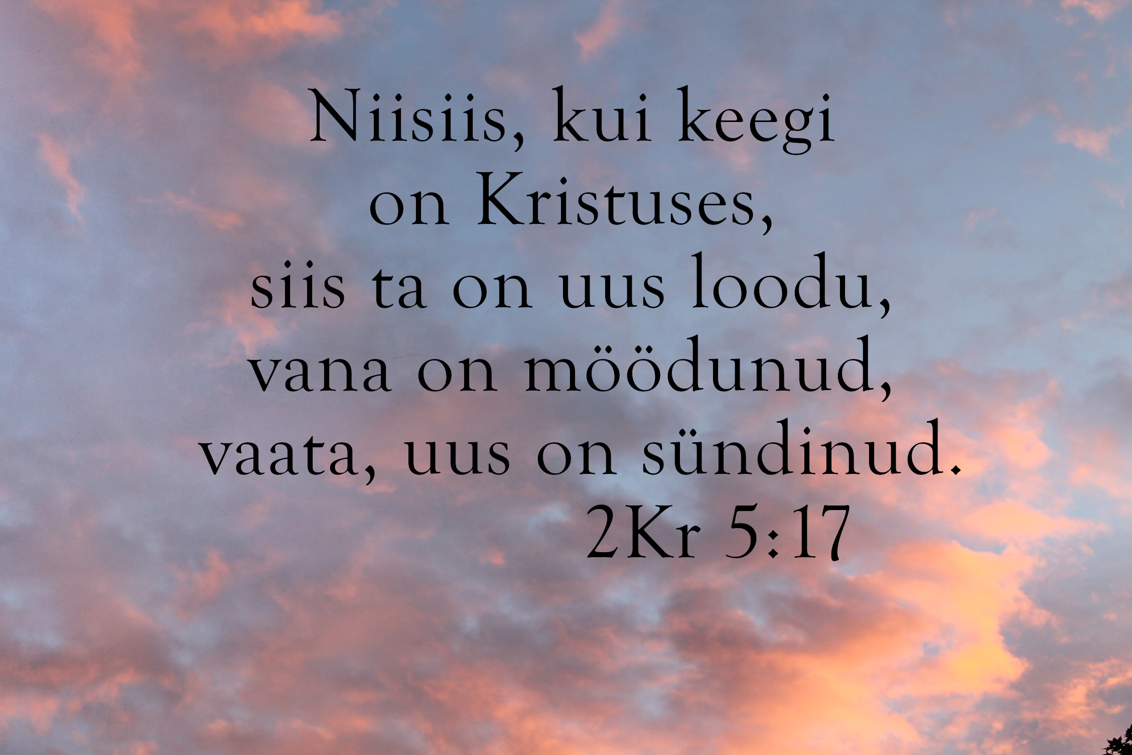 20240624_2Kr_5_17.jpg