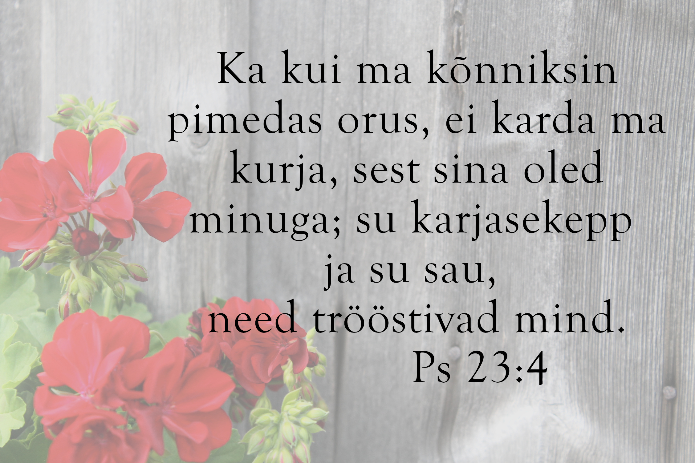 20240721_Ps_23_4.jpg